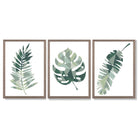 Sage Green Geometric Tropica Leaves Leaves Set of 3 Framed Art Prints with Light Walnut Frames