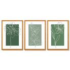 Minimal Sketch Flowers on Green Shades Set of 3 Framed Art Prints with Oak Wooden Frames