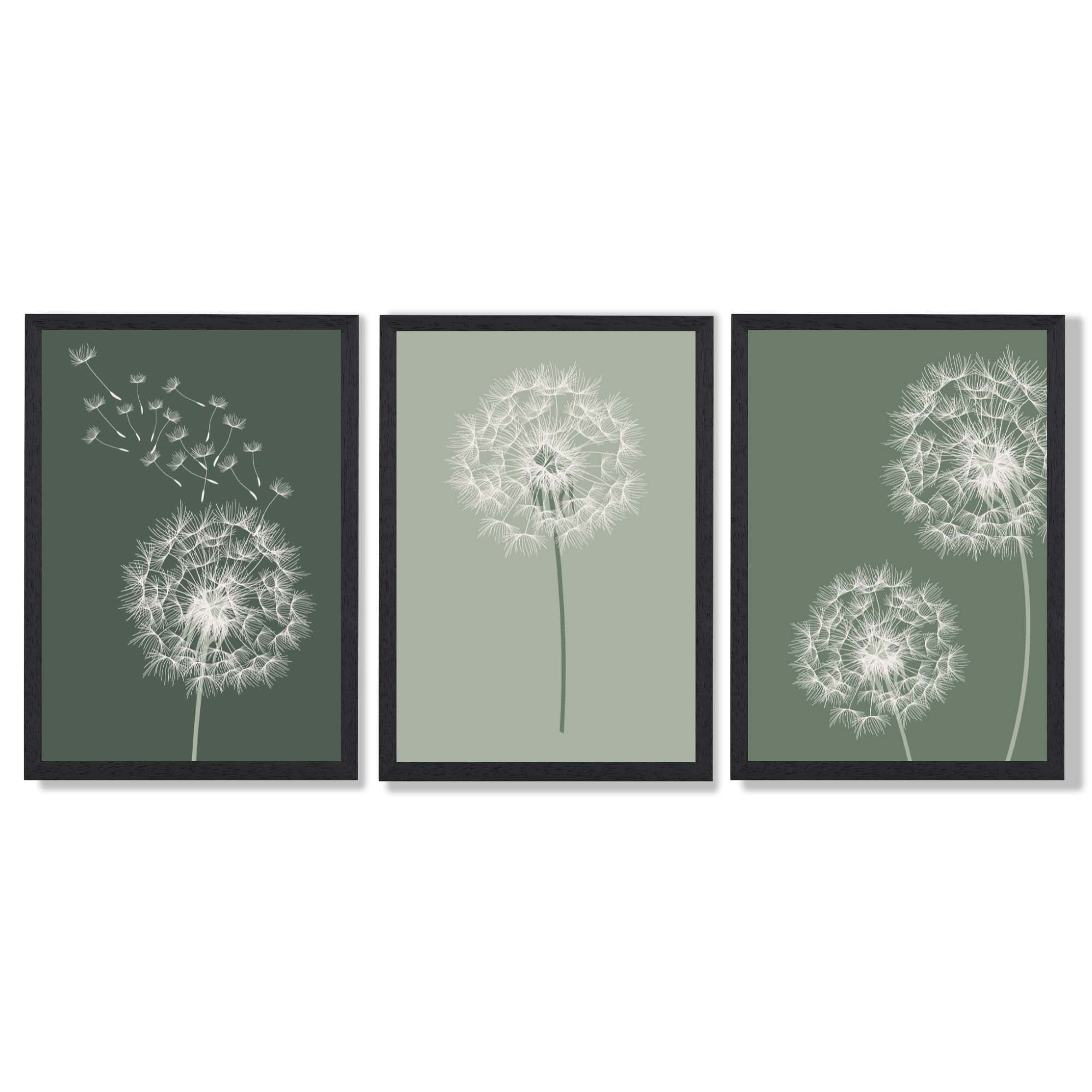 Dandelions Sketch on Green Shades Set of 3 Framed Art Prints with Black Wooden Frames