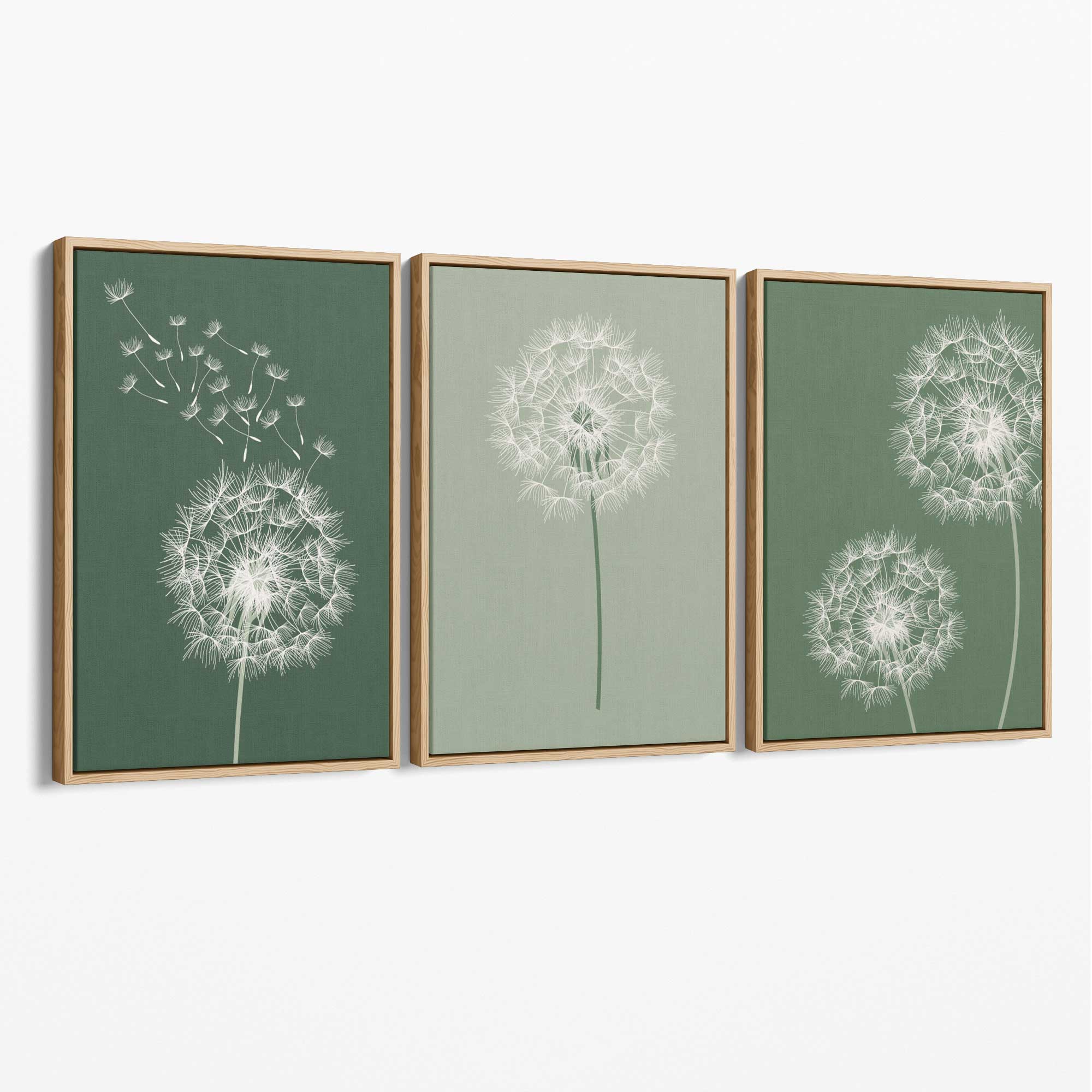 Dandelions Sketch on Green Shades Set of 3 Canvas Art Prints with Oak Float Frame