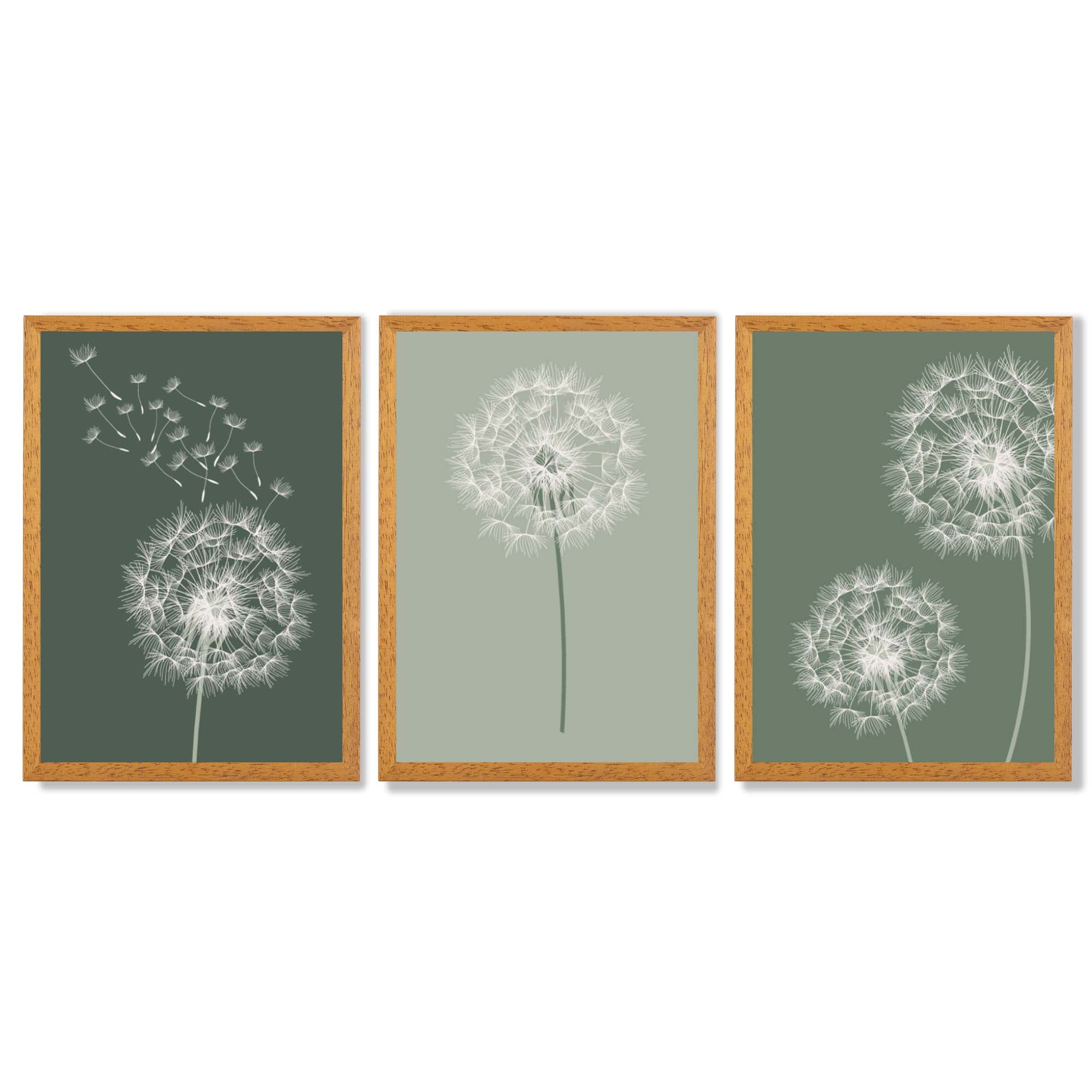 Dandelions Sketch on Green Shades Set of 3 Framed Art Prints with Oak Wooden Frames
