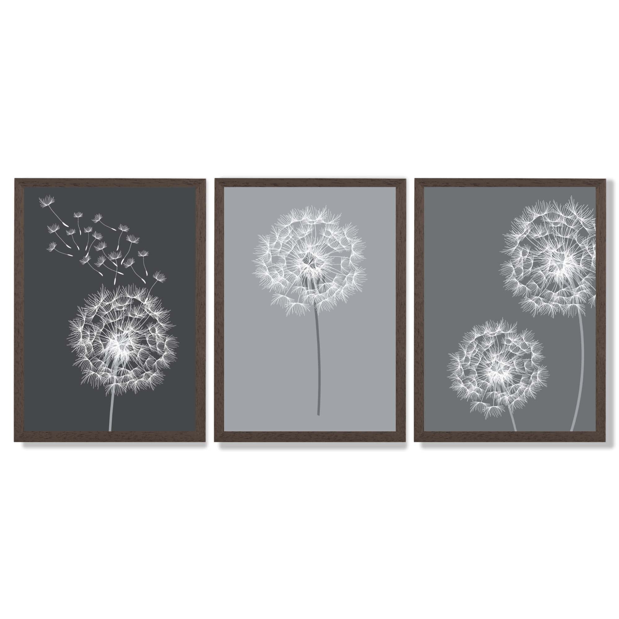 Dandelions Sketch on Grey Shades Set of 3 Framed Art Prints with Dark Wood Frames