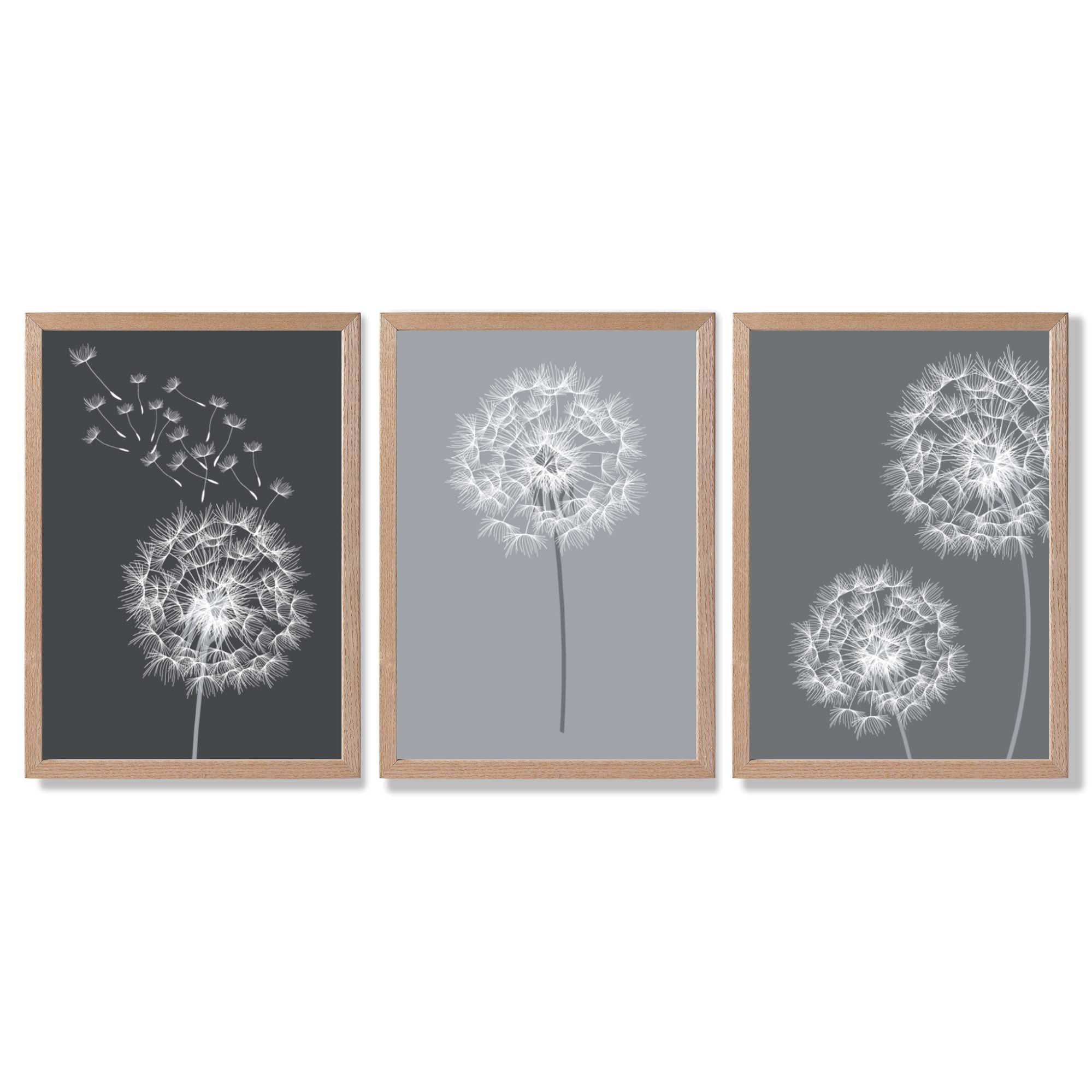 Dandelions Sketch on Grey Shades Set of 3 Framed Art Prints with Light Oak Frames