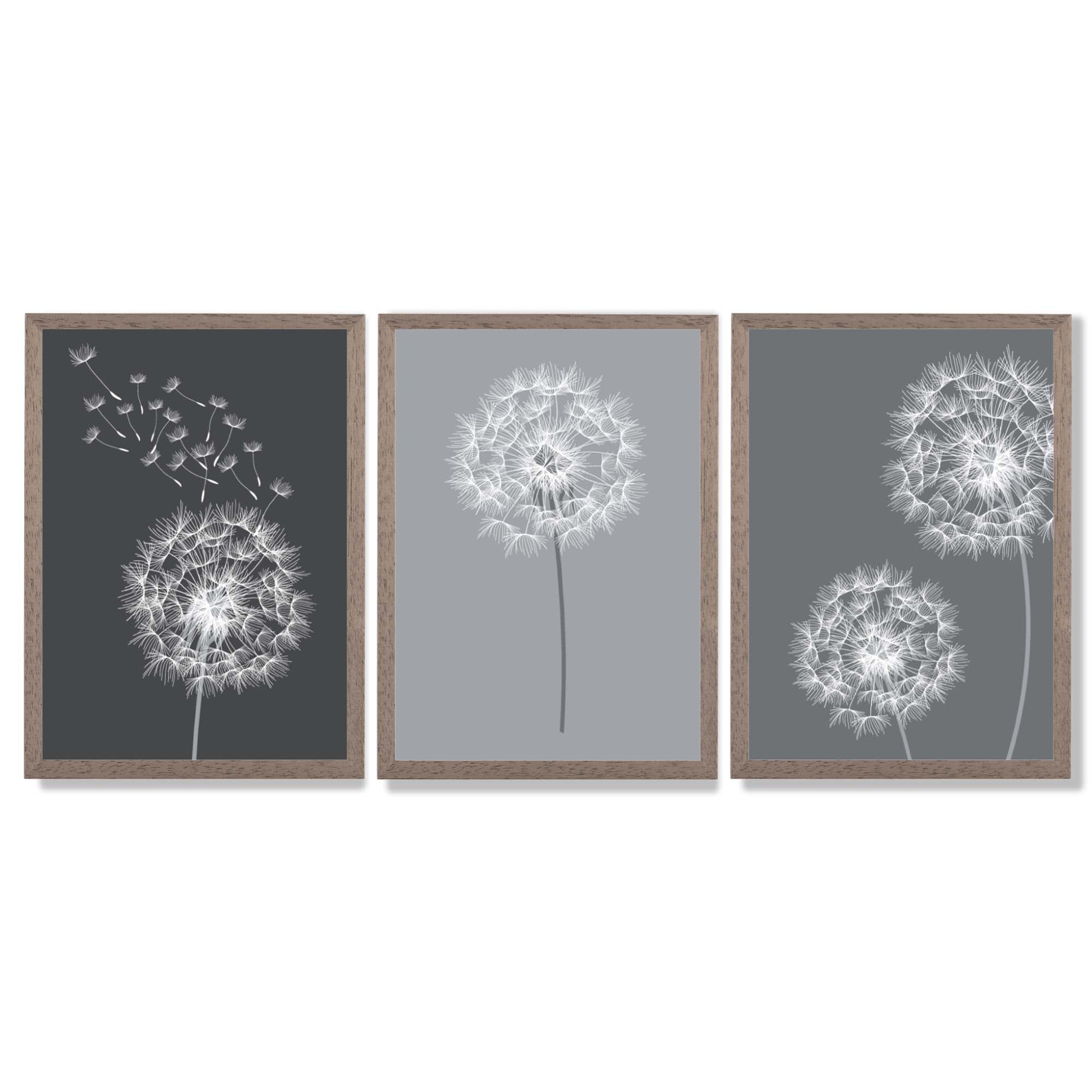 Dandelions Sketch on Grey Shades Set of 3 Framed Art Prints with Light Walnut Frames