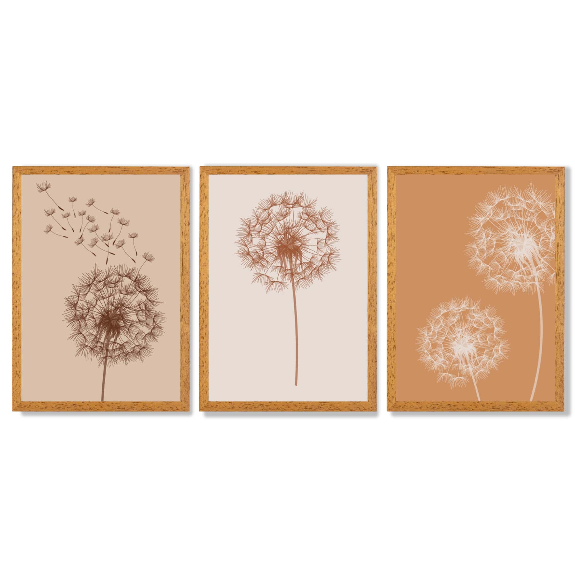Dandelions Sketch on Beige and Orange Set of 3 Framed Art Prints with Oak Wooden Frames