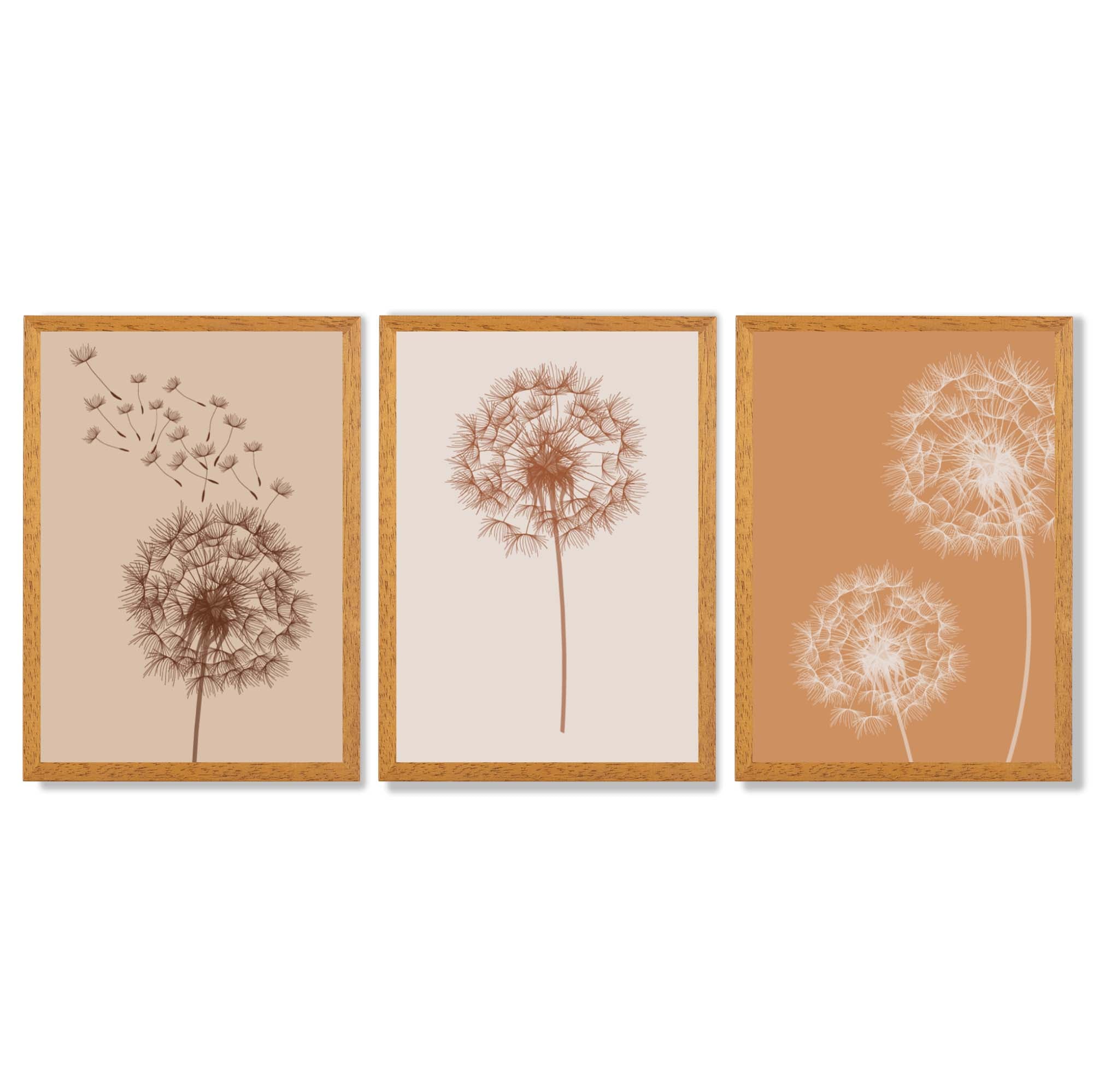 Dandelions Sketch on Beige and Orange Set of 3 Framed Art Prints with Oak Wooden Frames