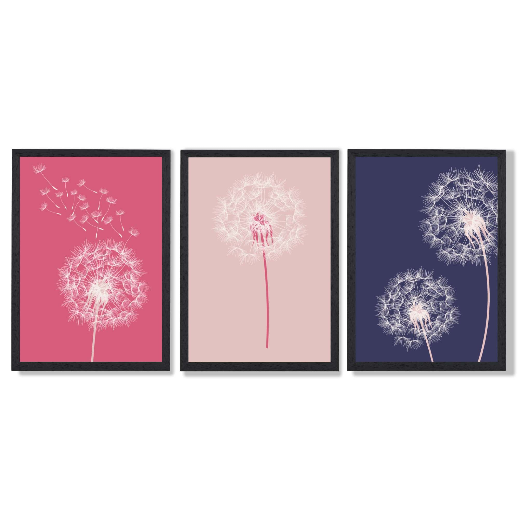 Dandelions Sketch Flowers on Pink and Purple Set of 3 Framed Art Prints with Black Wooden Frames