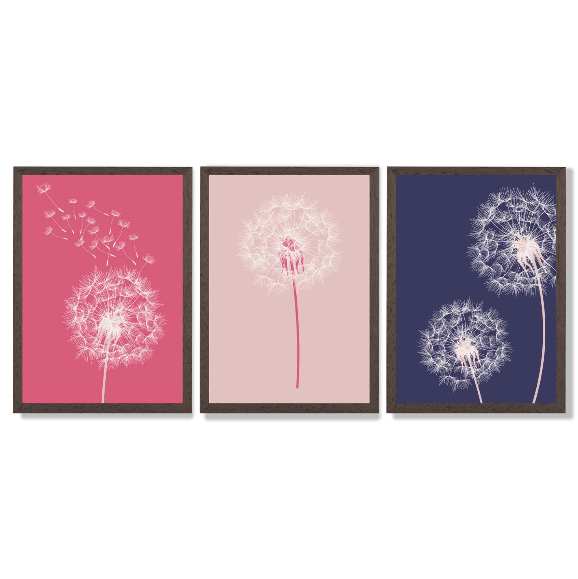 Dandelions Sketch Flowers on Pink and Purple Set of 3 Framed Art Prints with Dark Wood Frames
