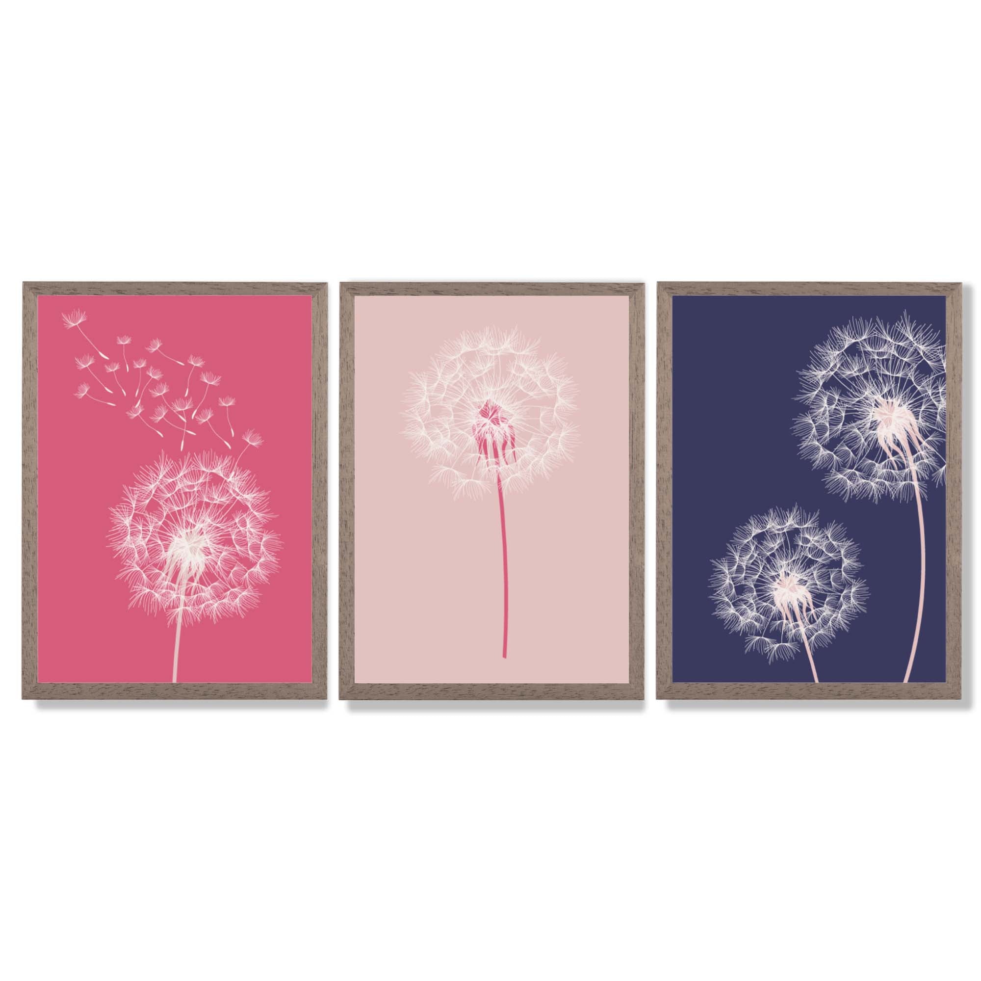 Dandelions Sketch Flowers on Pink and Purple Set of 3 Framed Art Prints with Light Walnut Frames