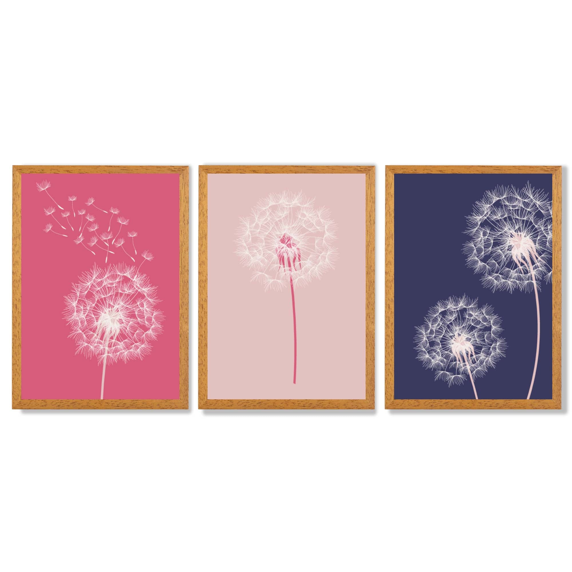 Dandelions Sketch Flowers on Pink and Purple Set of 3 Framed Art Prints with Oak Wooden Frames