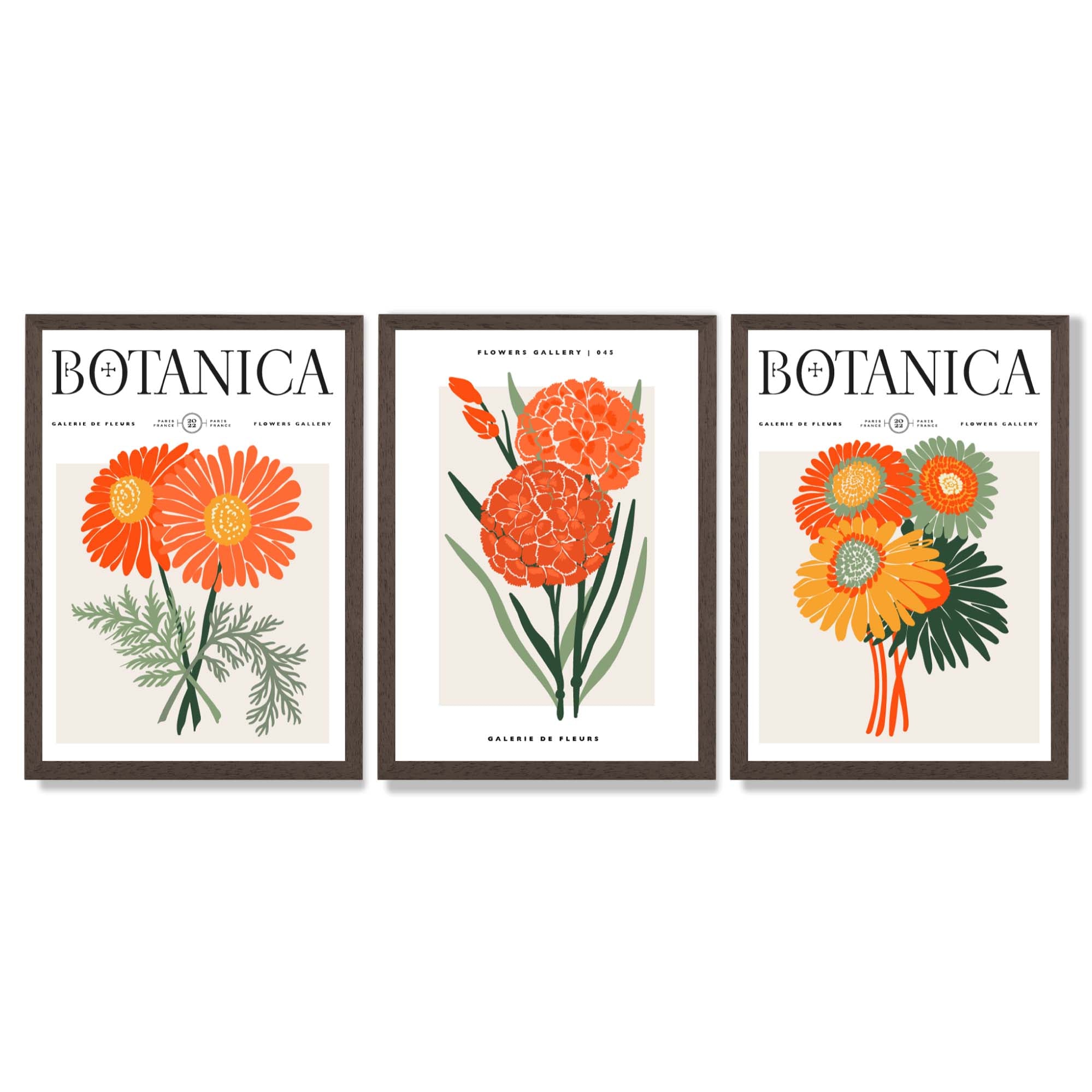 Set of 3 Green and Orange Flower Market Blooms Framed Art Prints with Dark Wood Frames