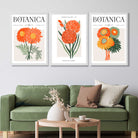 Set of 3 Green and Orange Flower Market Blooms Art Prints in White Frames | Artze UK