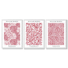 Set of 3 Raspberry Pink Floral William Morris Framed Art Prints with White Wooden Frames