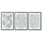 Set of 3 Sage Green Floral William Morris Framed Art Prints with Dark Grey Wooden Frames