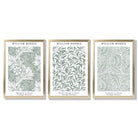 Set of 3 Sage Green Floral William Morris Framed Art Prints with Gold Wood Frames