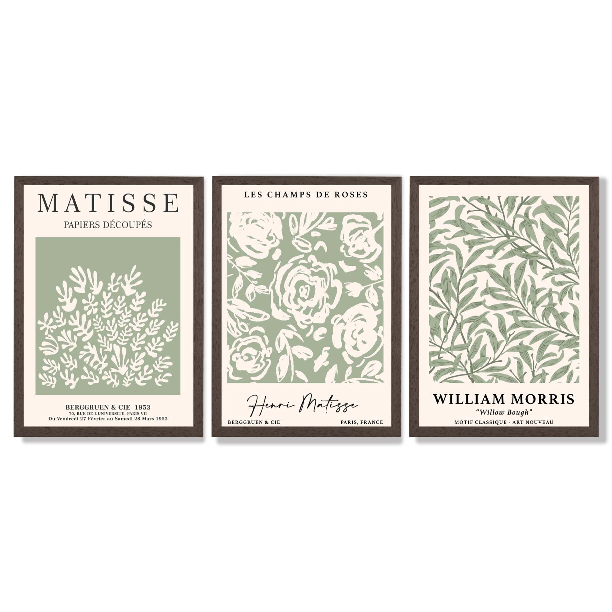Set of 3 Matisse and William Morris Sage Green Floral Framed Art Prints with Dark Wood Frames
