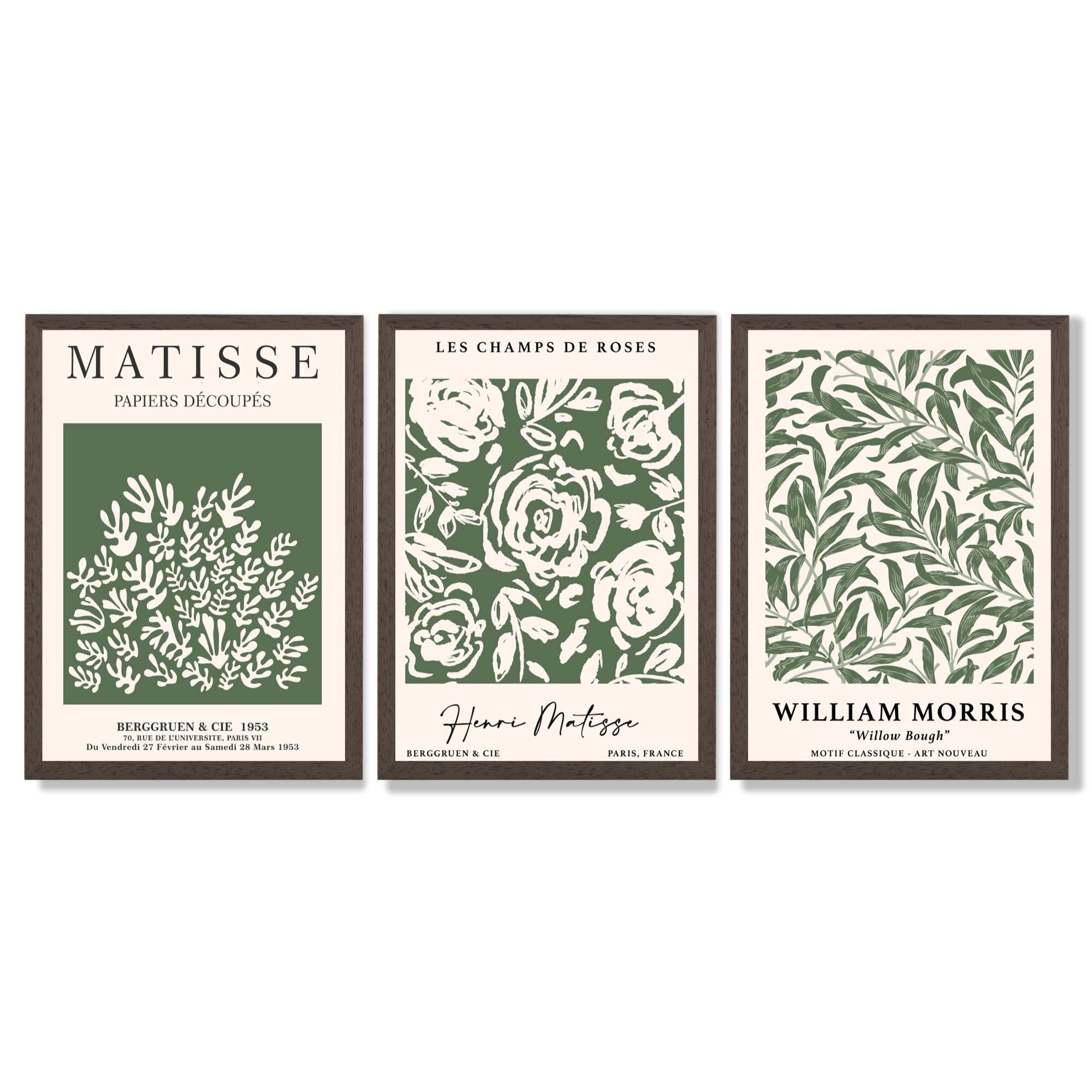 Set of 3 Matisse and William Morris Green Floral Framed Art Prints with Dark Wood Frames