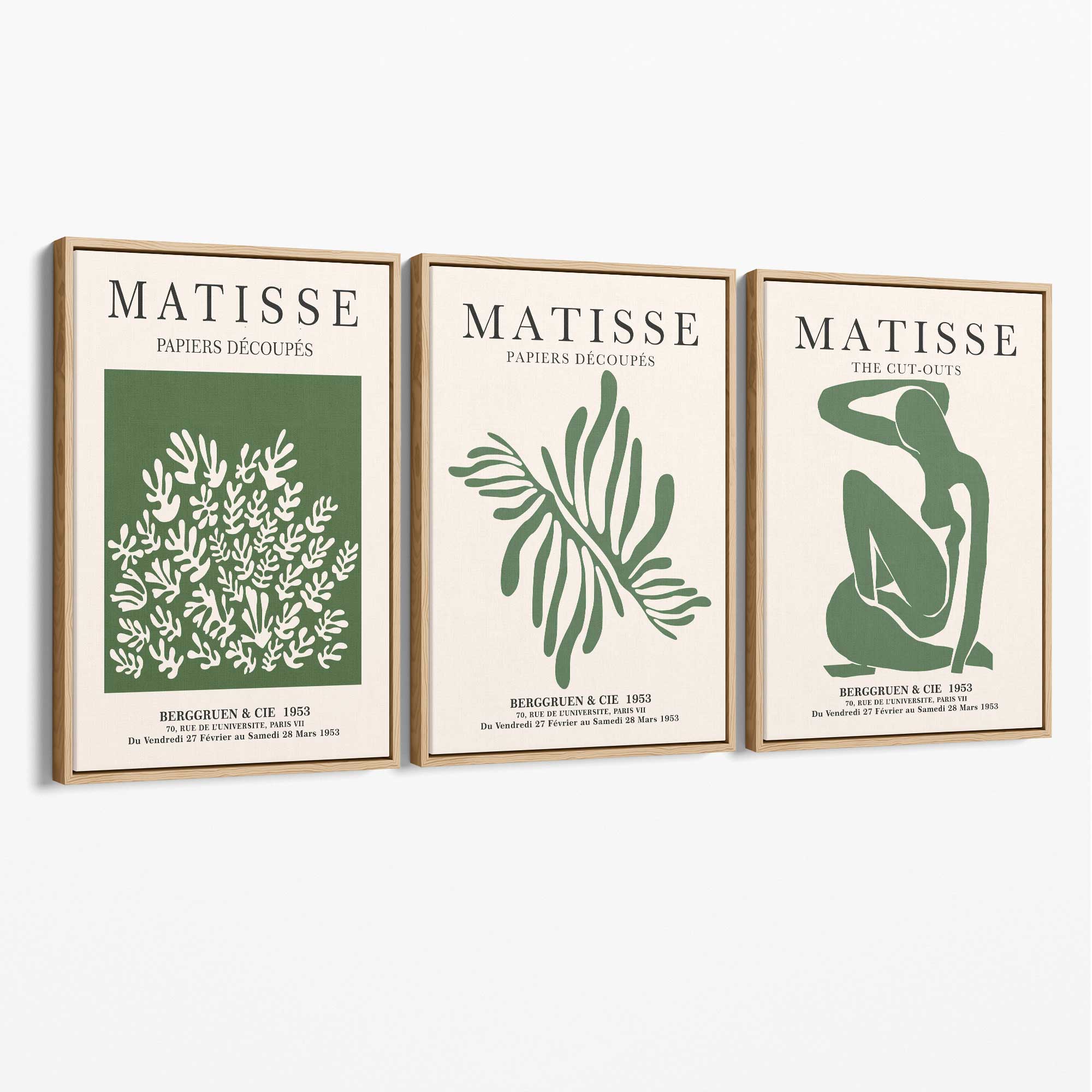 Set of 3 Matisse Floral Cutouts in Dark Green Canvas Prints with Oak Float Frame