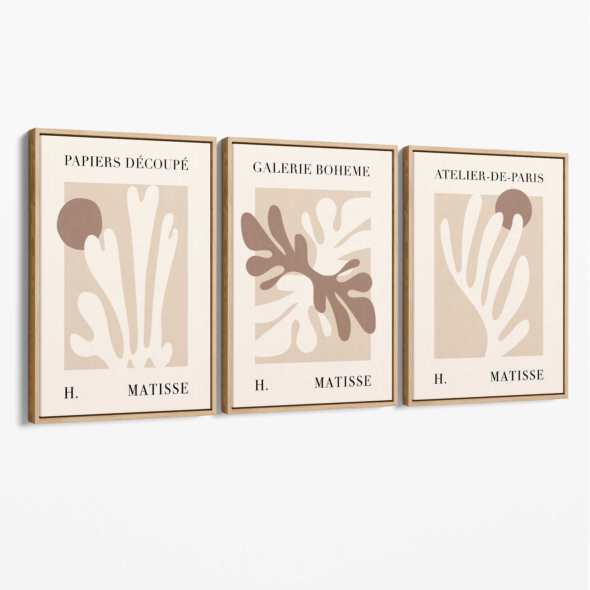 Matisse Beige and Brown Boho Botanical Set of 3 Canvas Prints with Oak Float Frame