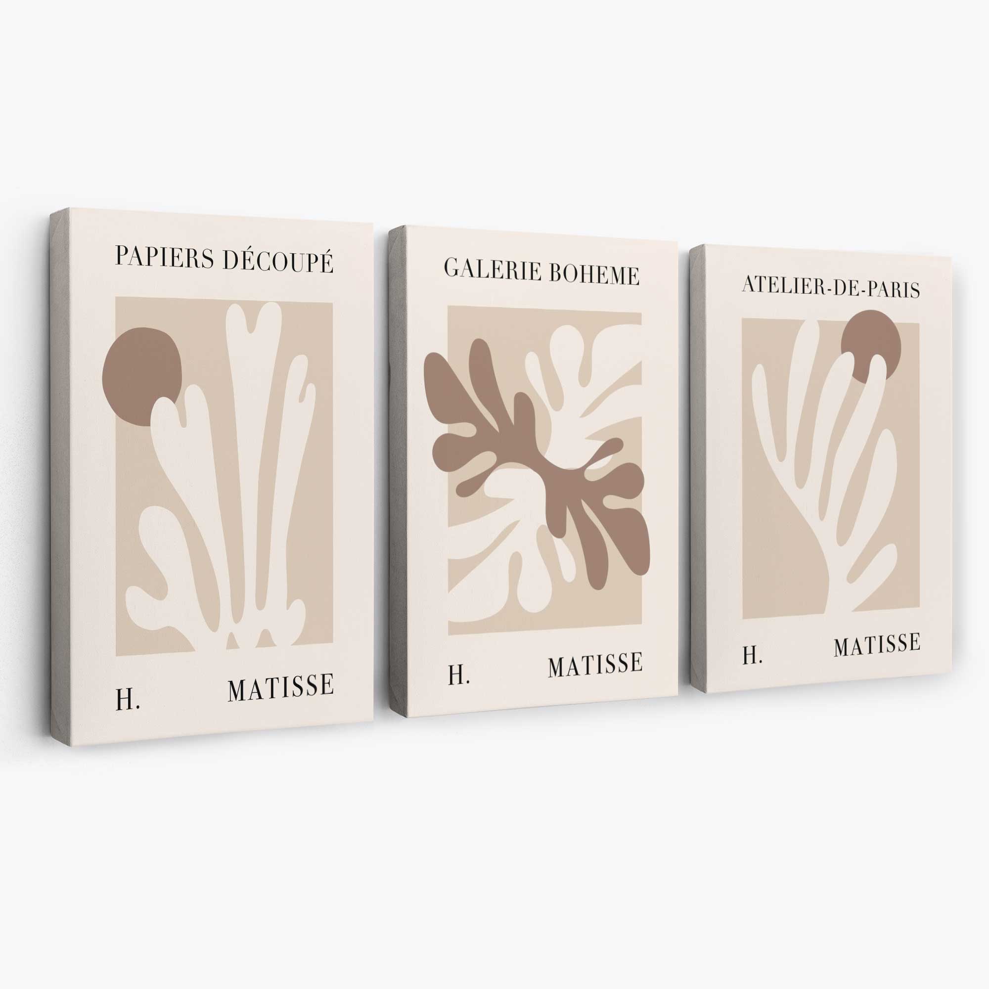 Matisse Beige and Brown Boho Botanical Set of 3 Canvas Prints | Artze Wall Art