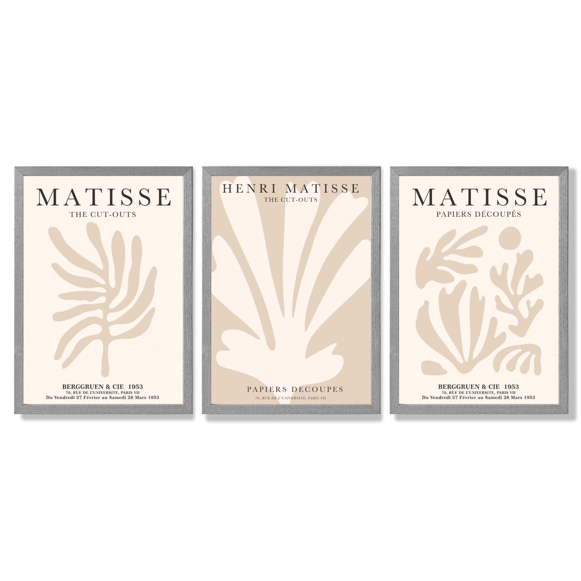 Set of 3 Matisse Botanical Beige Framed Wall Art with Light Grey Wooden Frames