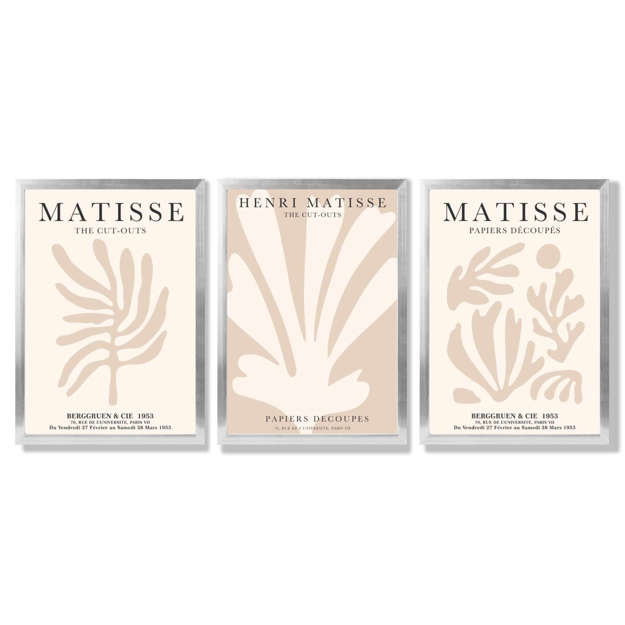 Set of 3 Matisse Botanical Beige Framed Wall Art with Silver Wood Frames