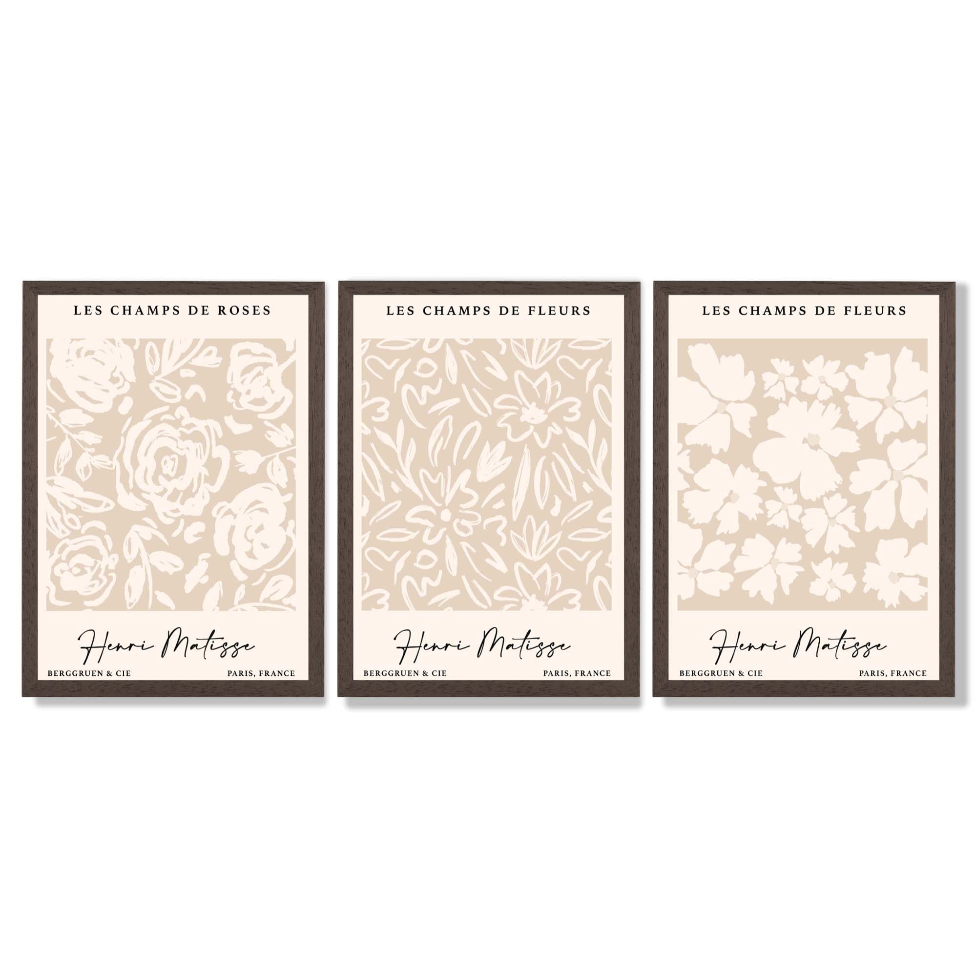 Set of 3 Floral Matisse Roses in Beige Framed Wall Art with Dark Wood Frames