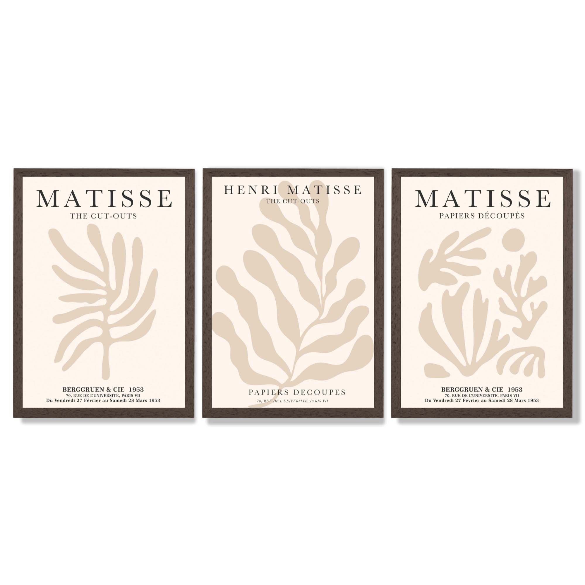 Set of 3 Matisse Botanical in Beige Framed Wall Art with Dark Wood Frames