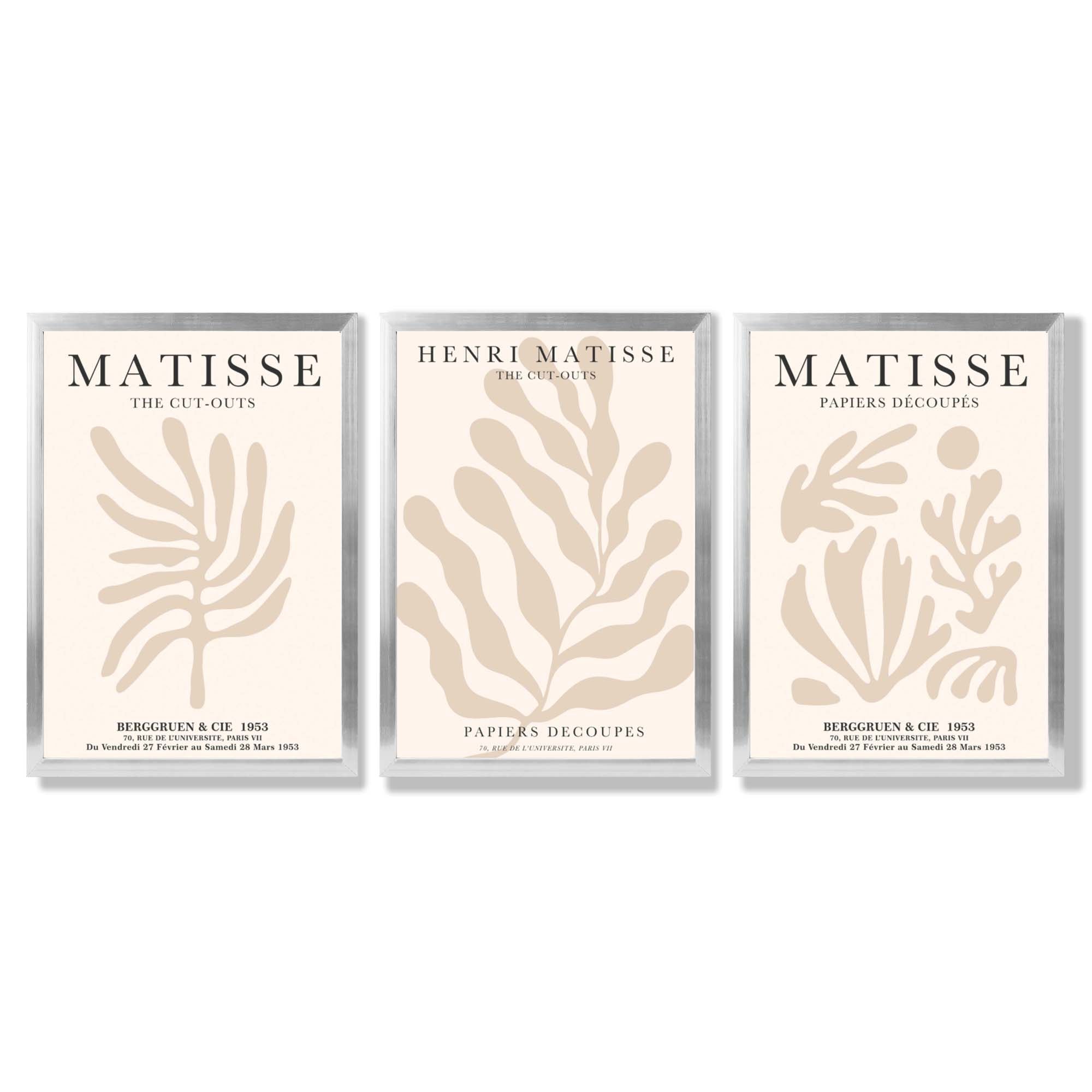 Set of 3 Matisse Botanical in Beige Framed Wall Art with Silver Wood Frames