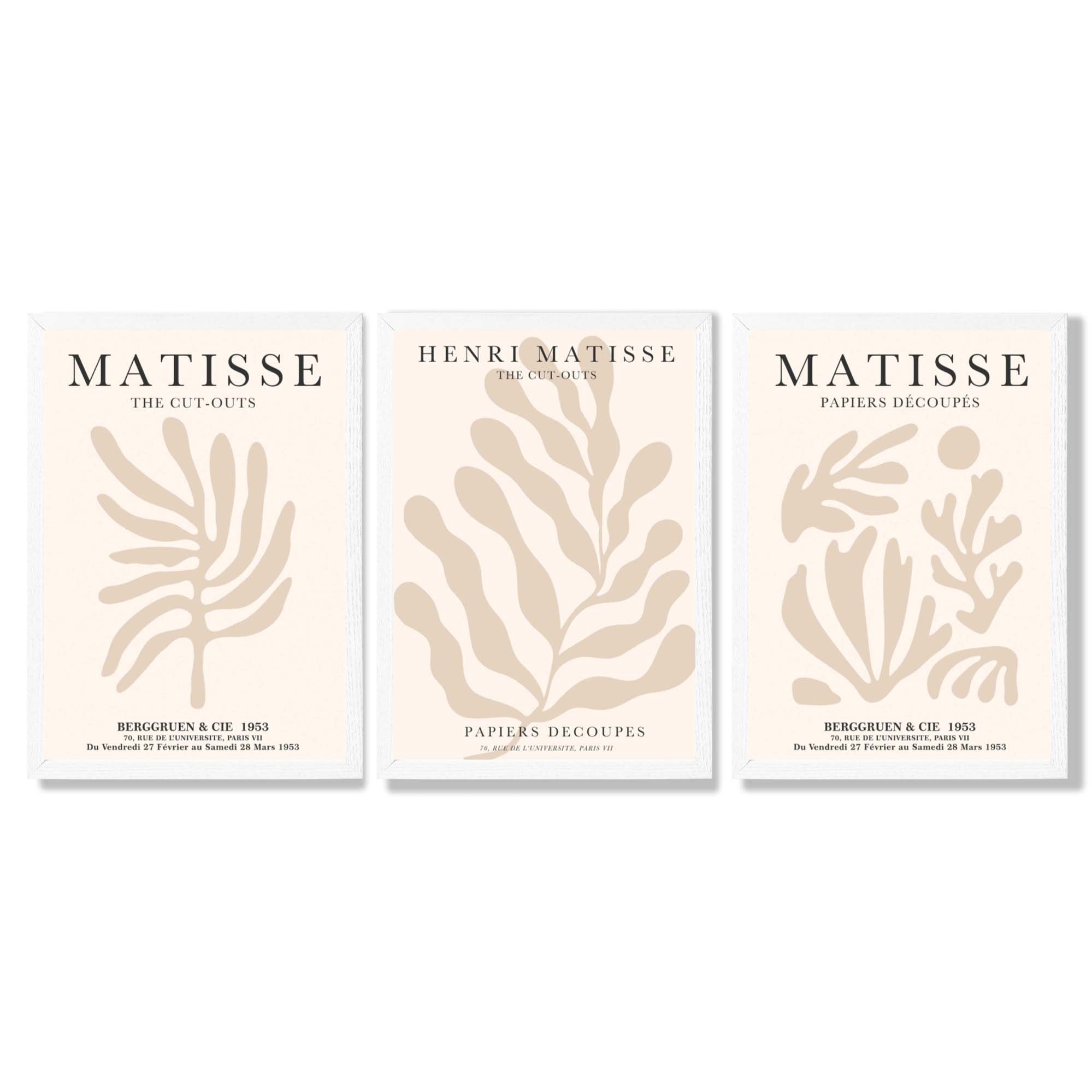 Set of 3 Matisse Botanical in Beige Framed Wall Art with White Wooden Frames