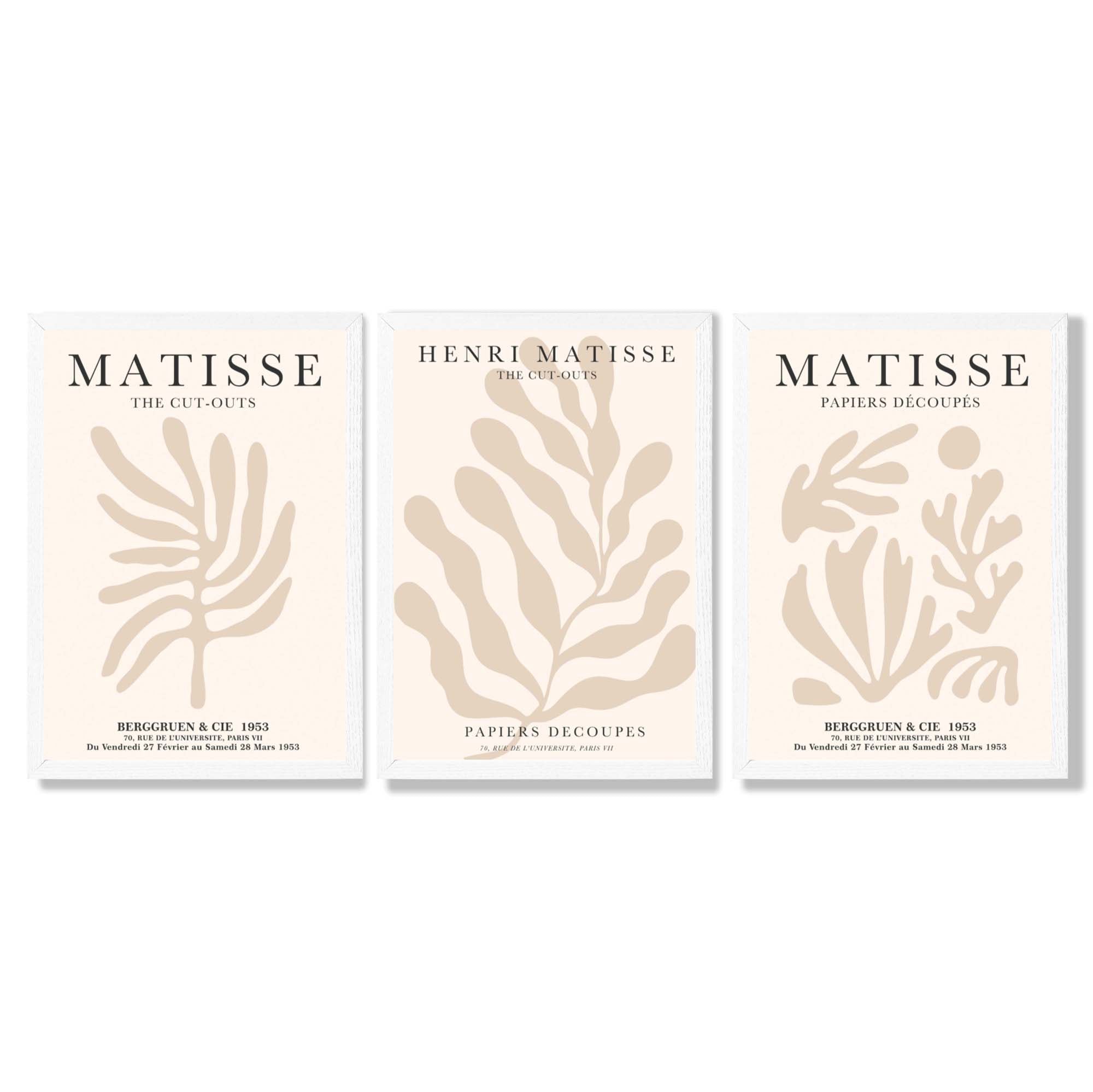 Set of 3 Matisse Botanical in Beige Framed Wall Art with White Wooden Frames
