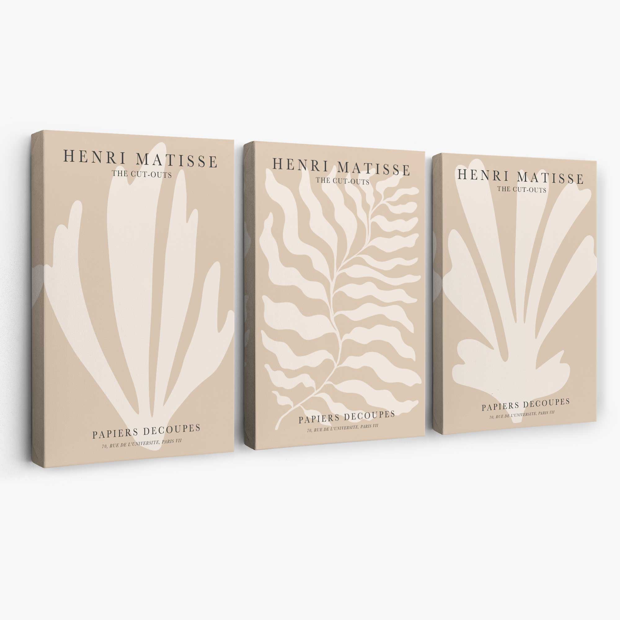 Set of 3 Matisse Botanical in Warm Beige Canvas Prints | Artze Wall Art