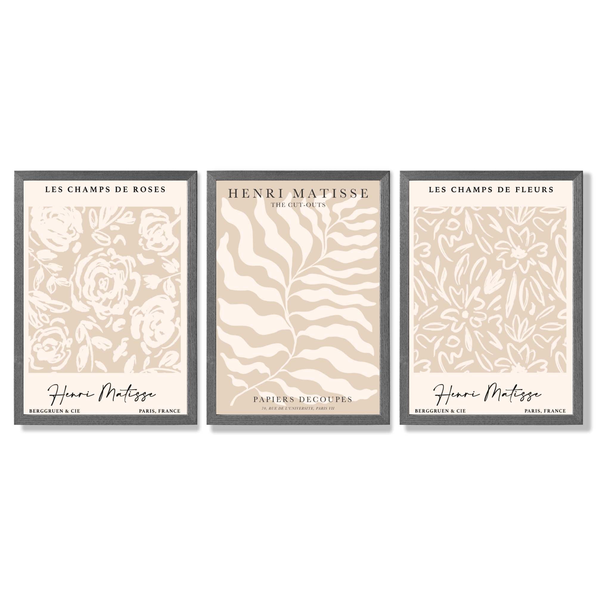Matisse Warm Beige Set of 3 Floral Framed Wall Art with Dark Grey Wooden Frames