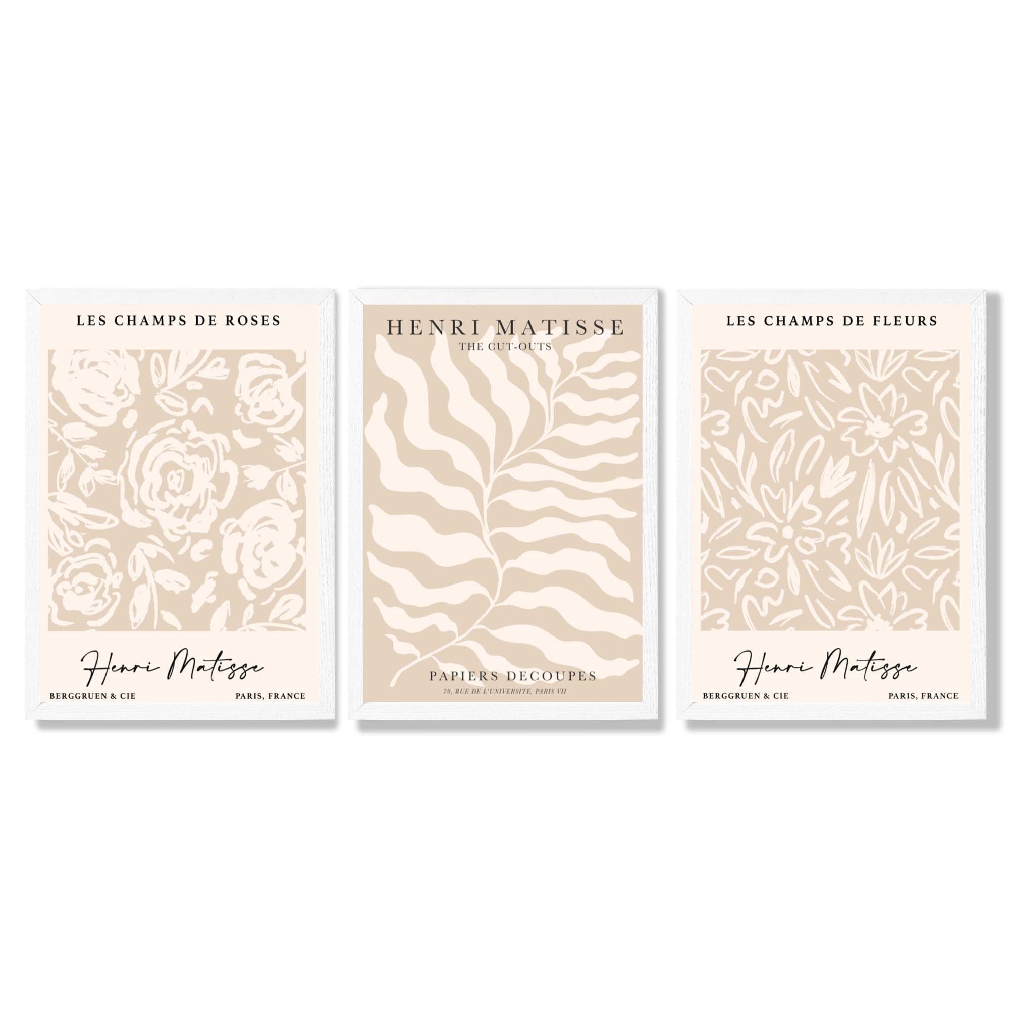 Matisse Warm Beige Set of 3 Floral Framed Wall Art with White Wooden Frames