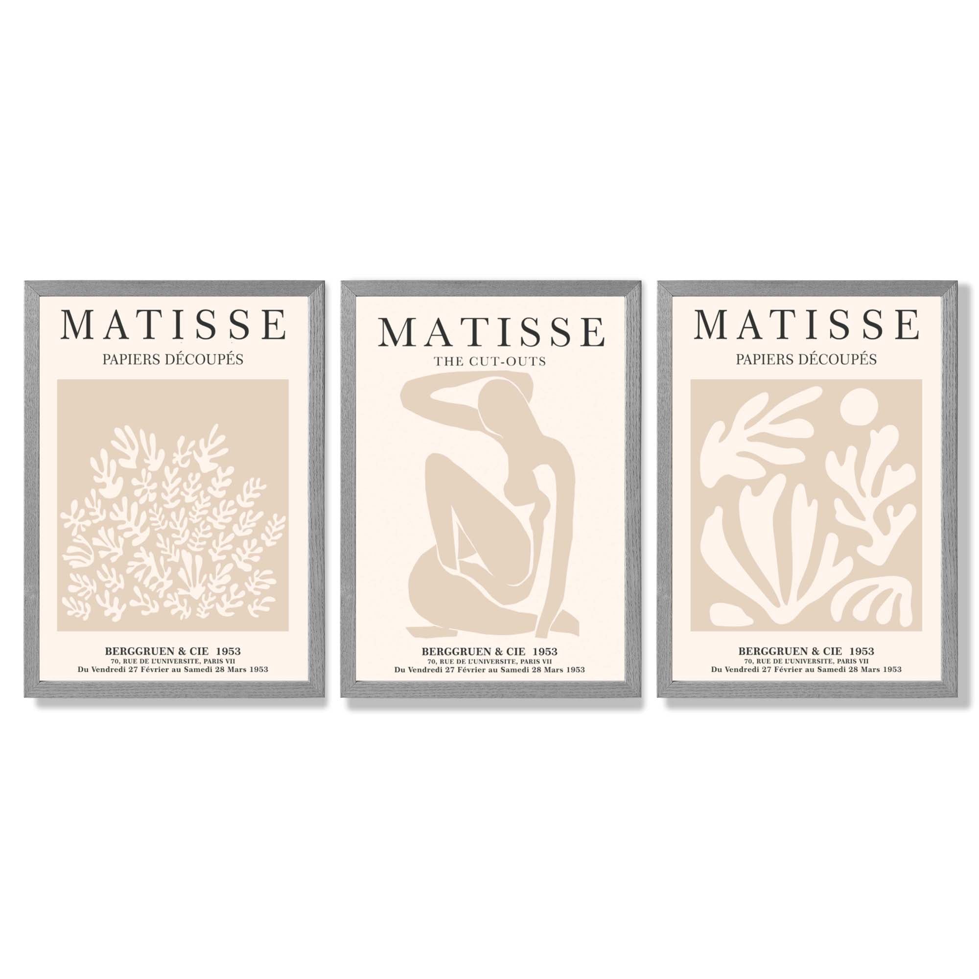 Matisse Set of 3 Beige Botanical Framed Wall Art with Light Grey Wooden Frames