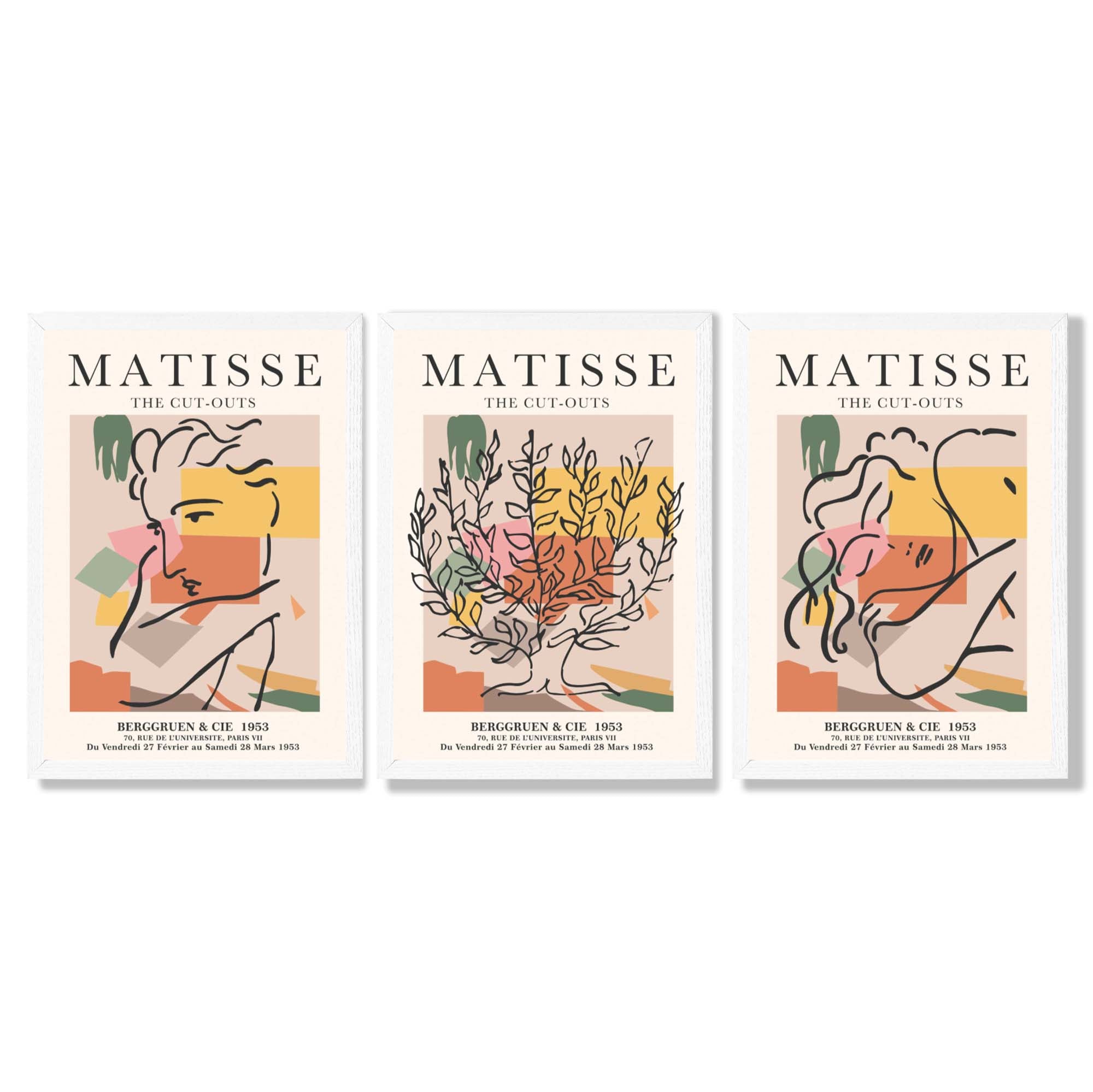 Matisse Boho Set of 3 Colourful Still Life Framed Wall Art with White Wooden Frames