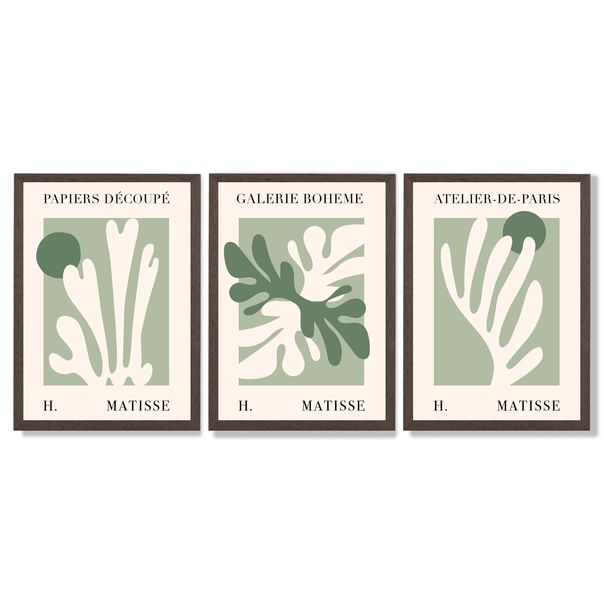 Set of 3 Matisse Cutout Botanical Sage Green and Cream Framed Wall Art with Dark Wood Frames