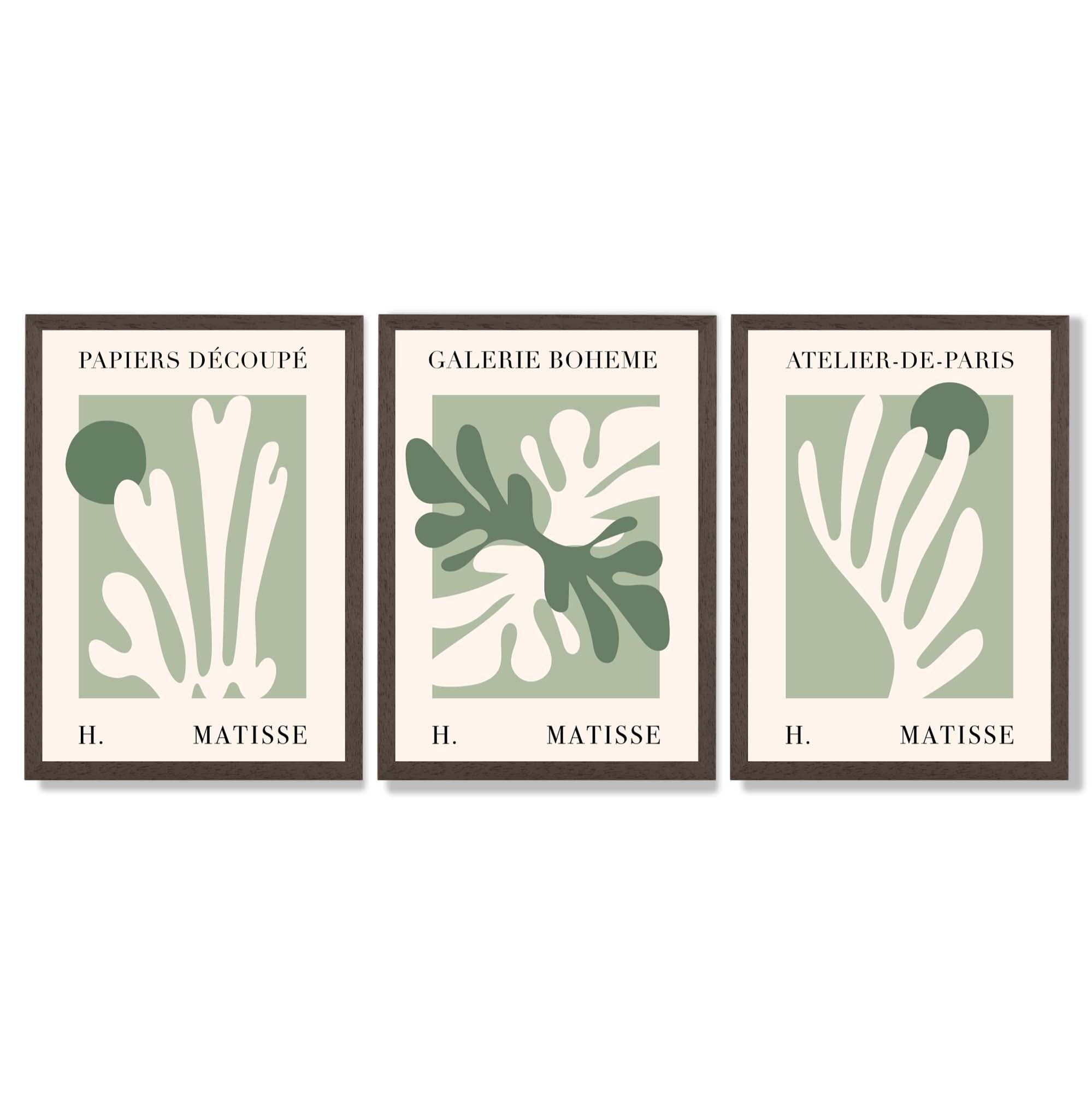 Set of 3 Matisse Cutout Botanical Sage Green and Cream Framed Wall Art with Dark Wood Frames