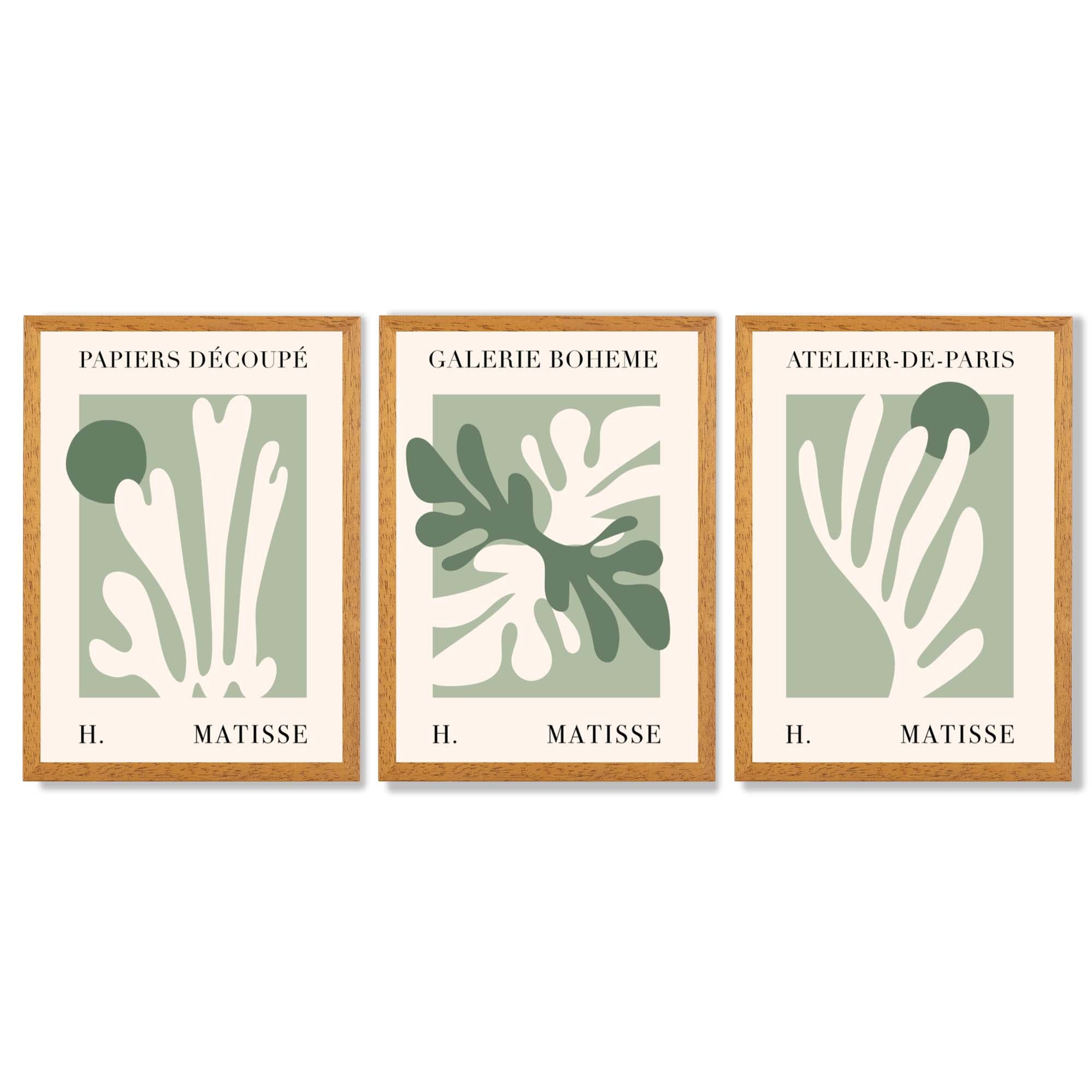 Set of 3 Matisse Cutout Botanical Sage Green and Cream Framed Wall Art with Oak Wooden Frames