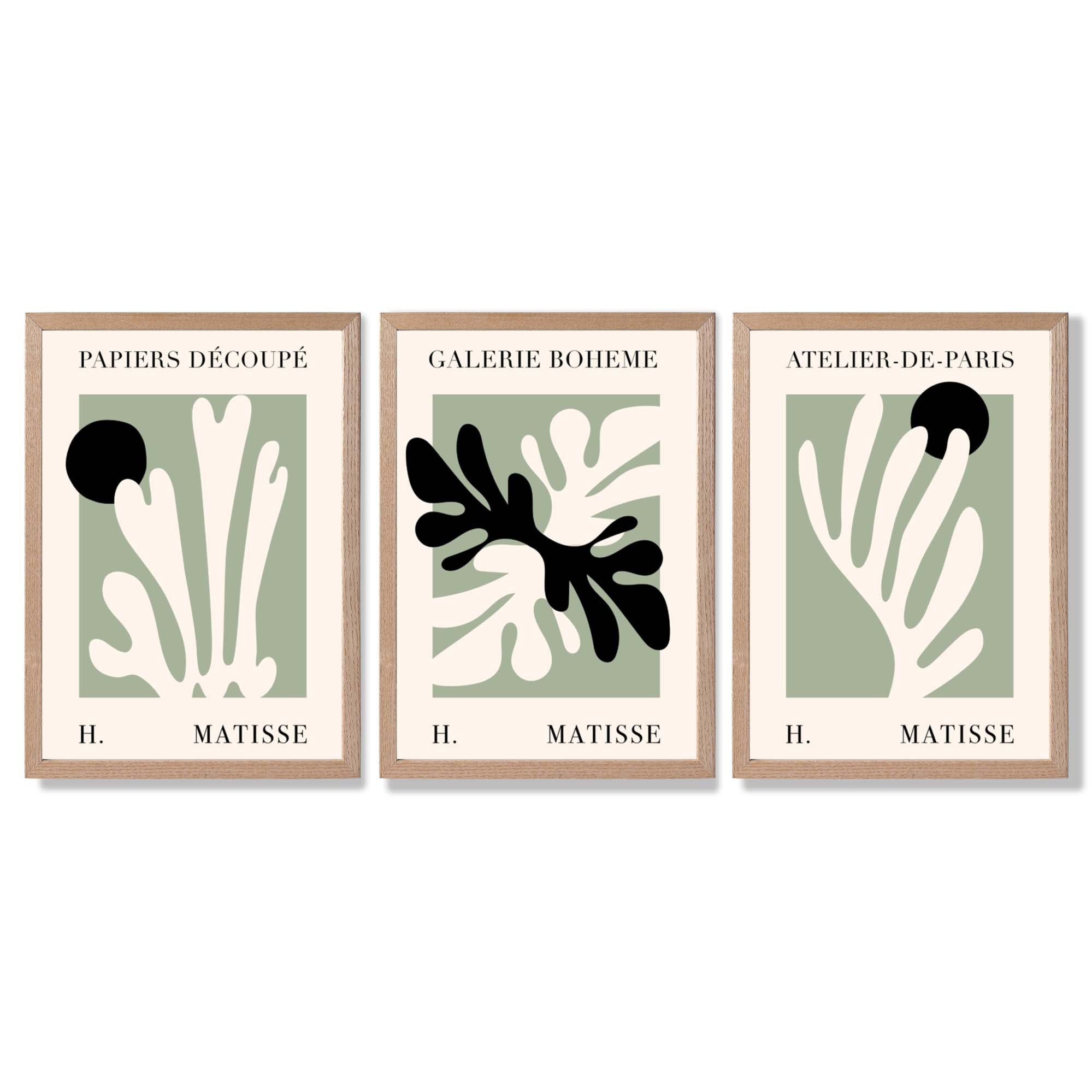 Set of 3 Matisse Cutout Botanical Sage Green and Black Framed Wall Art with Light Oak Frames