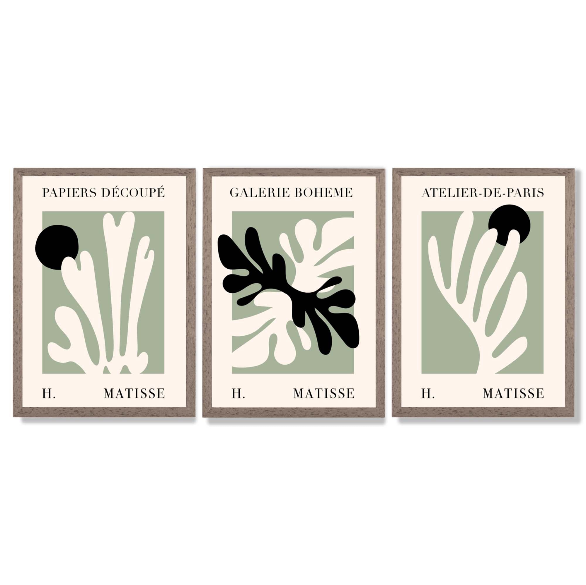 Set of 3 Matisse Cutout Botanical Sage Green and Black Framed Wall Art with Light Walnut Frames
