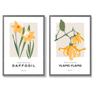 Yellow Daffodil Flower Illustration Set of 2 Art Prints with Dark Grey Frame