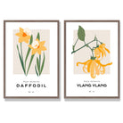Yellow Daffodil Flower Illustration Set of 2 Art Prints with Walnut Frame