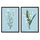 Blue Wild Flower Illustration Set of 2 Art Prints with Black Frame