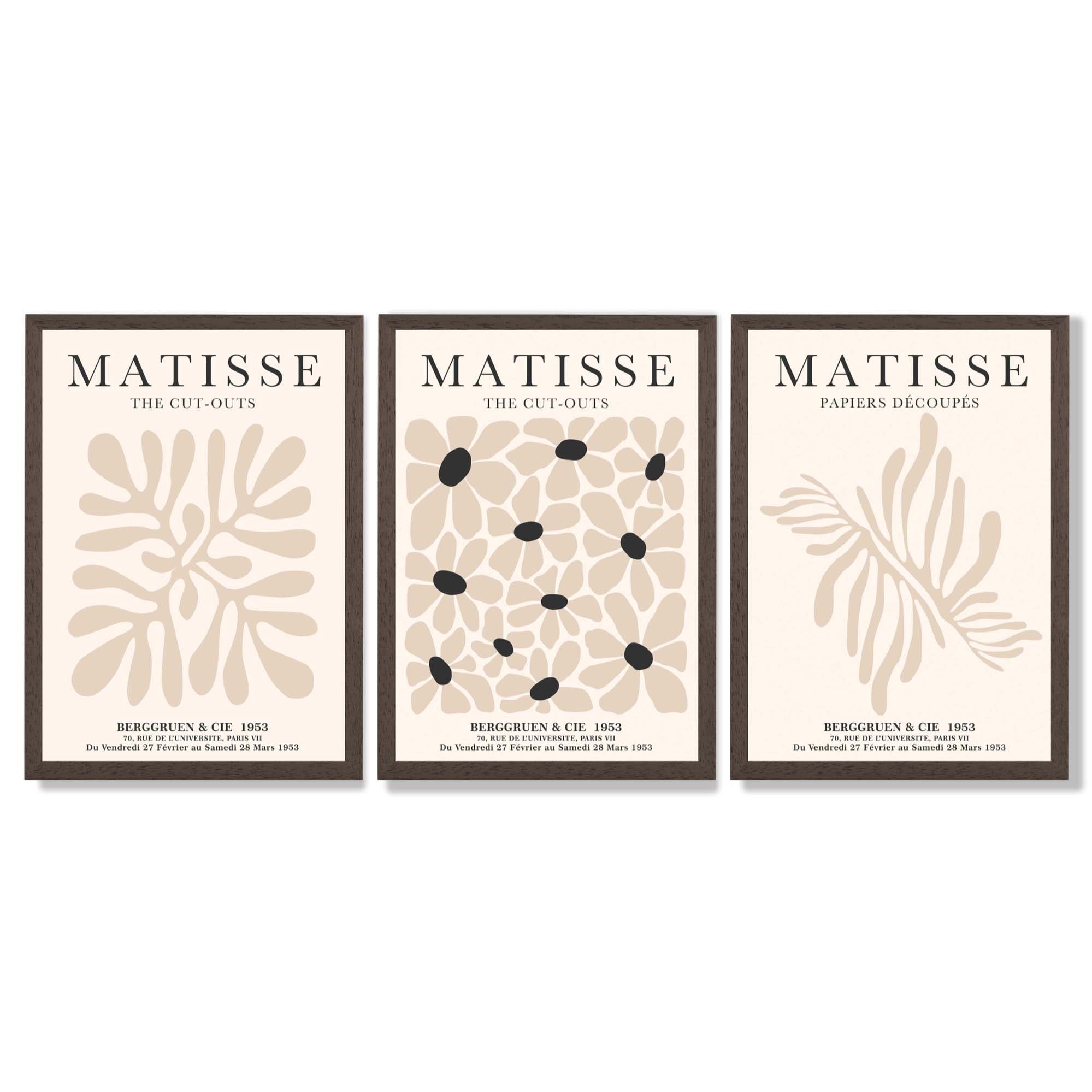 Set of 3 Matisse Floral Neutral Beige Framed Wall Art with Dark Wood Frames