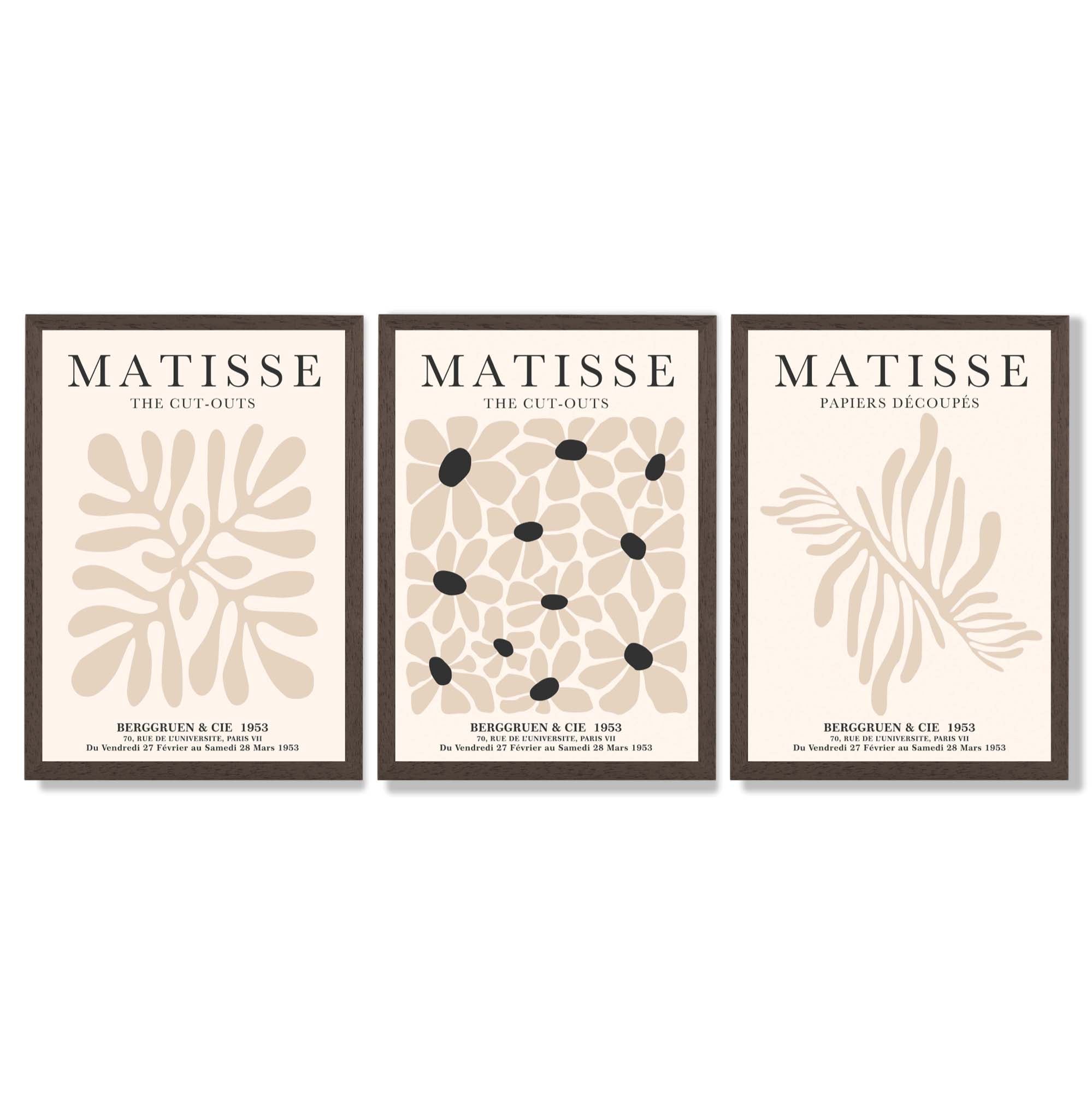 Set of 3 Matisse Floral Neutral Beige Framed Wall Art with Dark Wood Frames