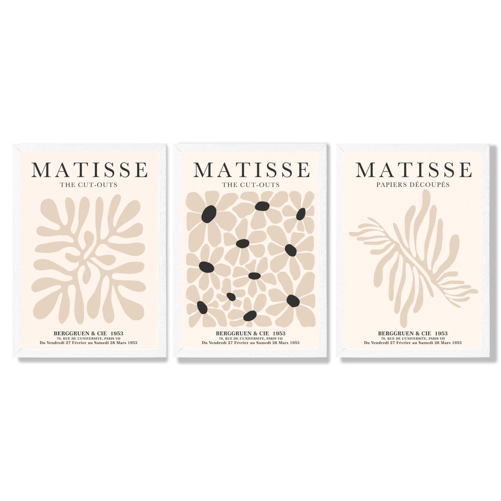 Set of 3 Matisse Floral Neutral Beige Framed Wall Art with White Wooden Frames