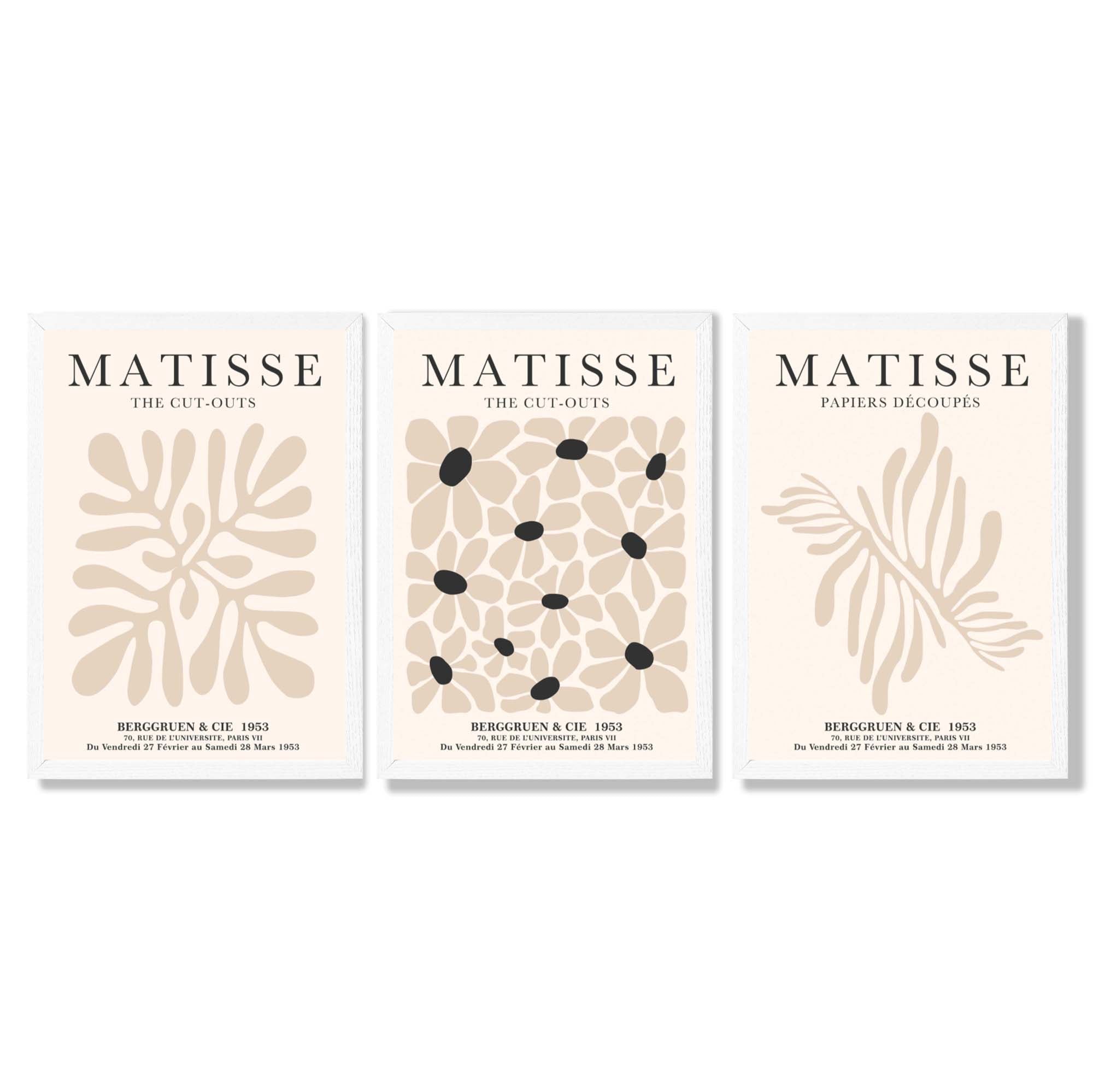 Set of 3 Matisse Floral Neutral Beige Framed Wall Art with White Wooden Frames