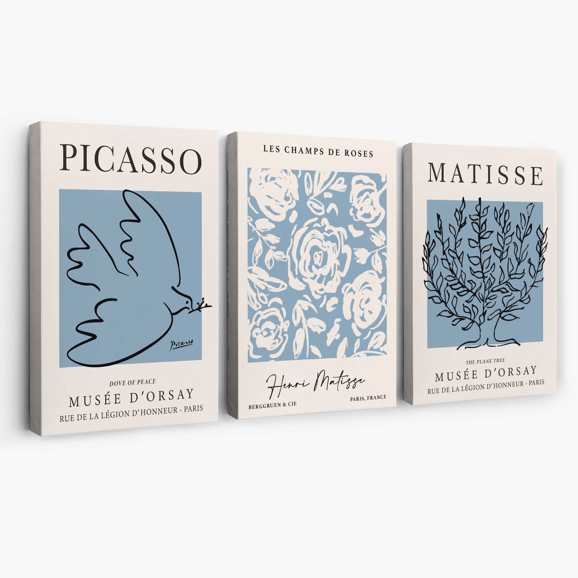 Set of 3 Minimal Picasso,Matisse Light Blue Nature Themed Canvas Prints | Artze Wall Art