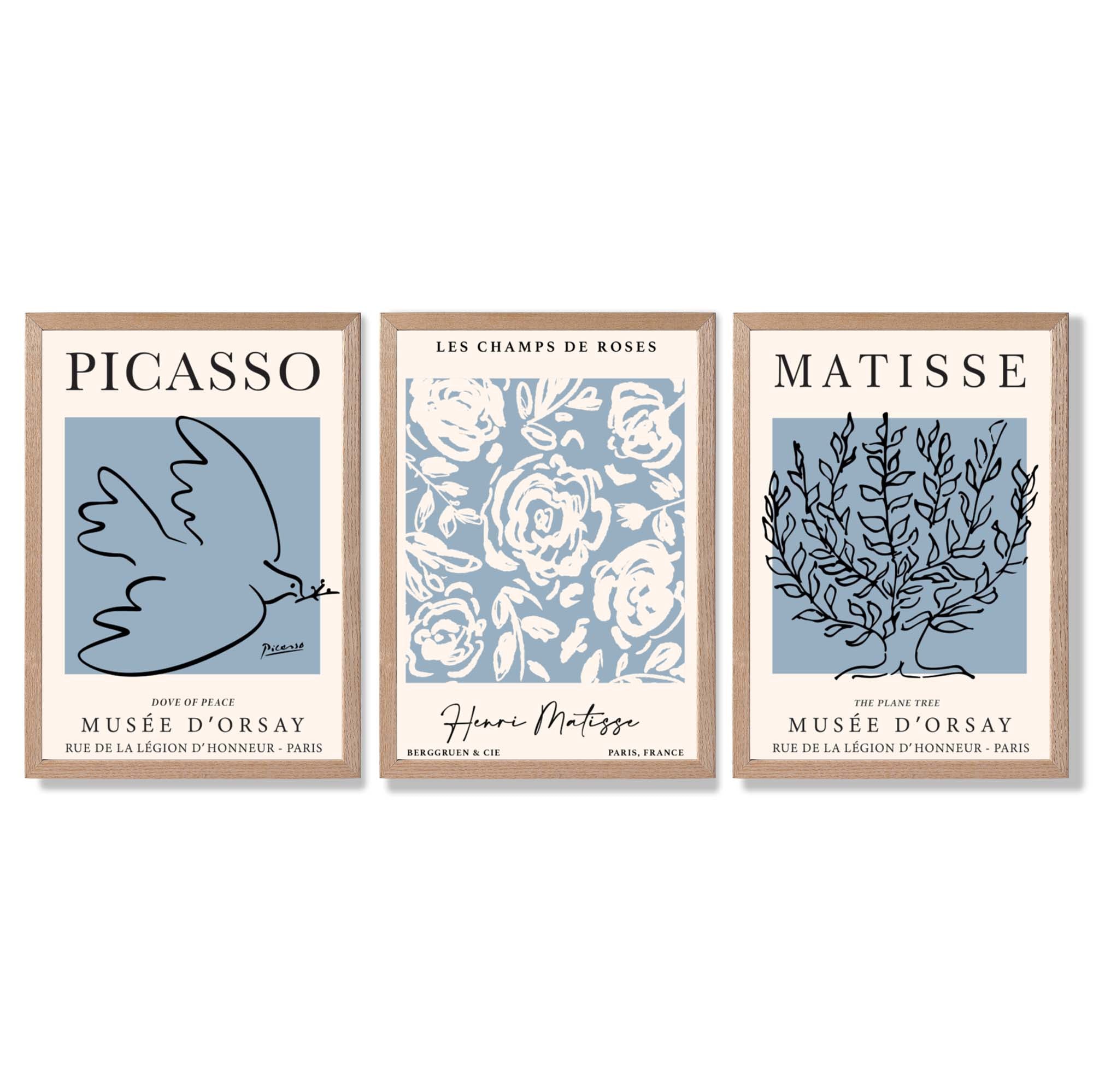 Set of 3 Minimal Picasso,Matisse Light Blue Nature Themed Framed Wall Art with Light Oak Frames